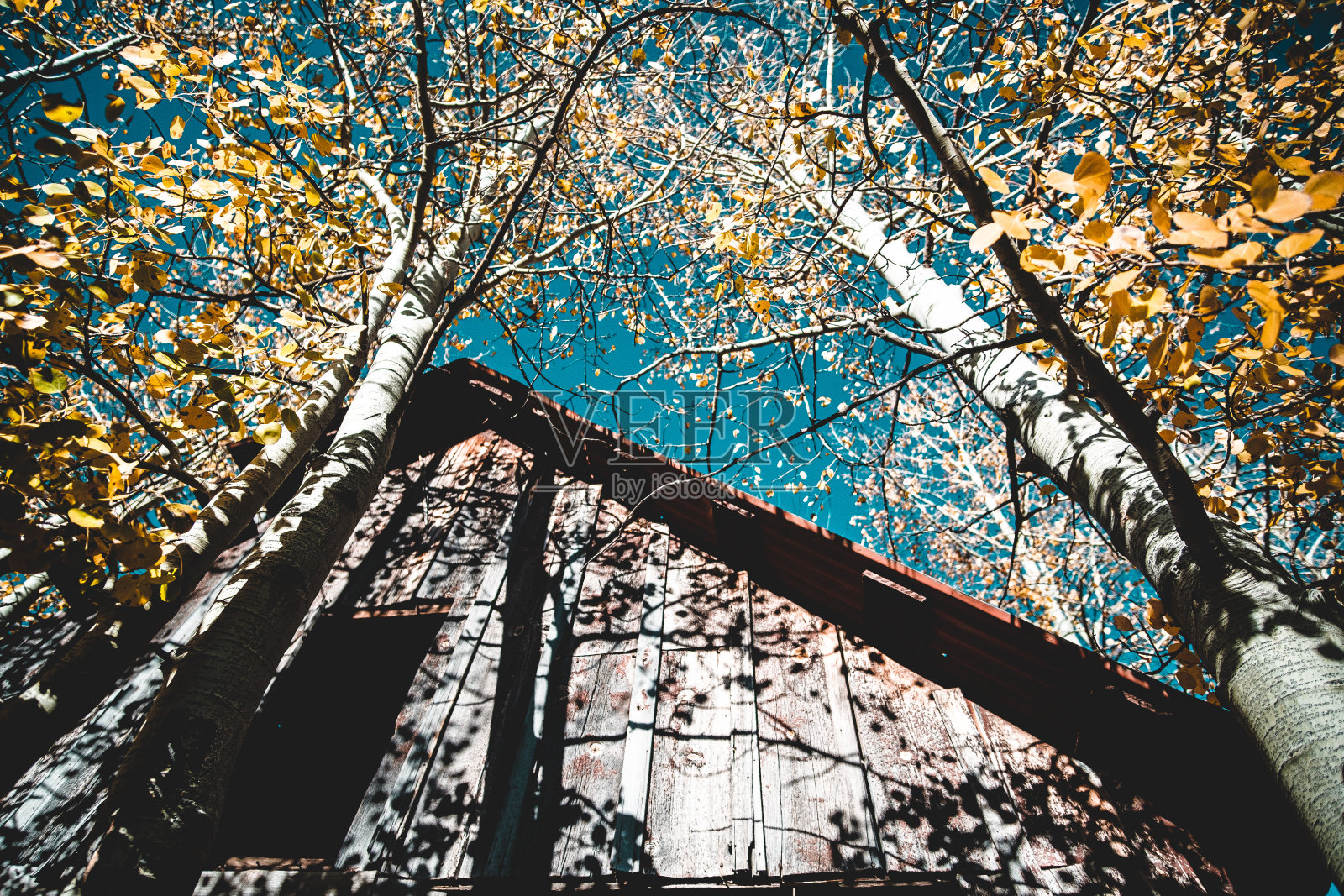 秋天废弃的房子照片摄影图片