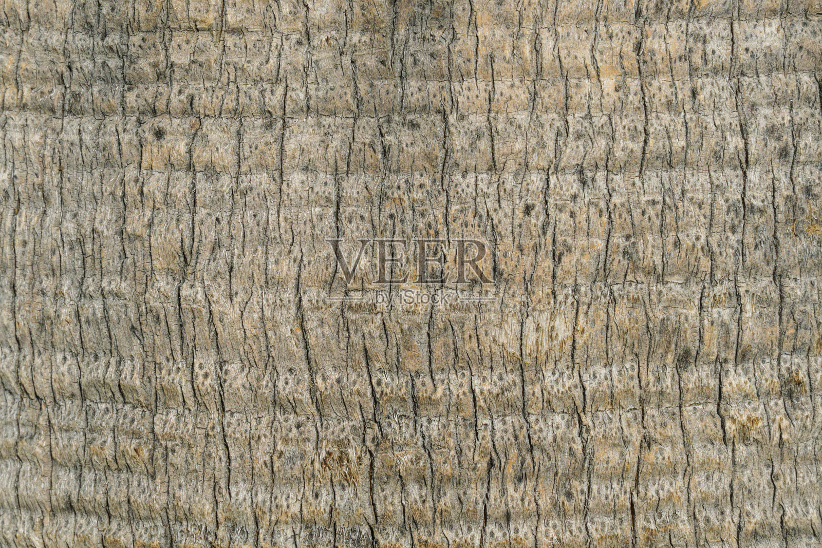 一个木制的棕色纹理的特写照片照片摄影图片