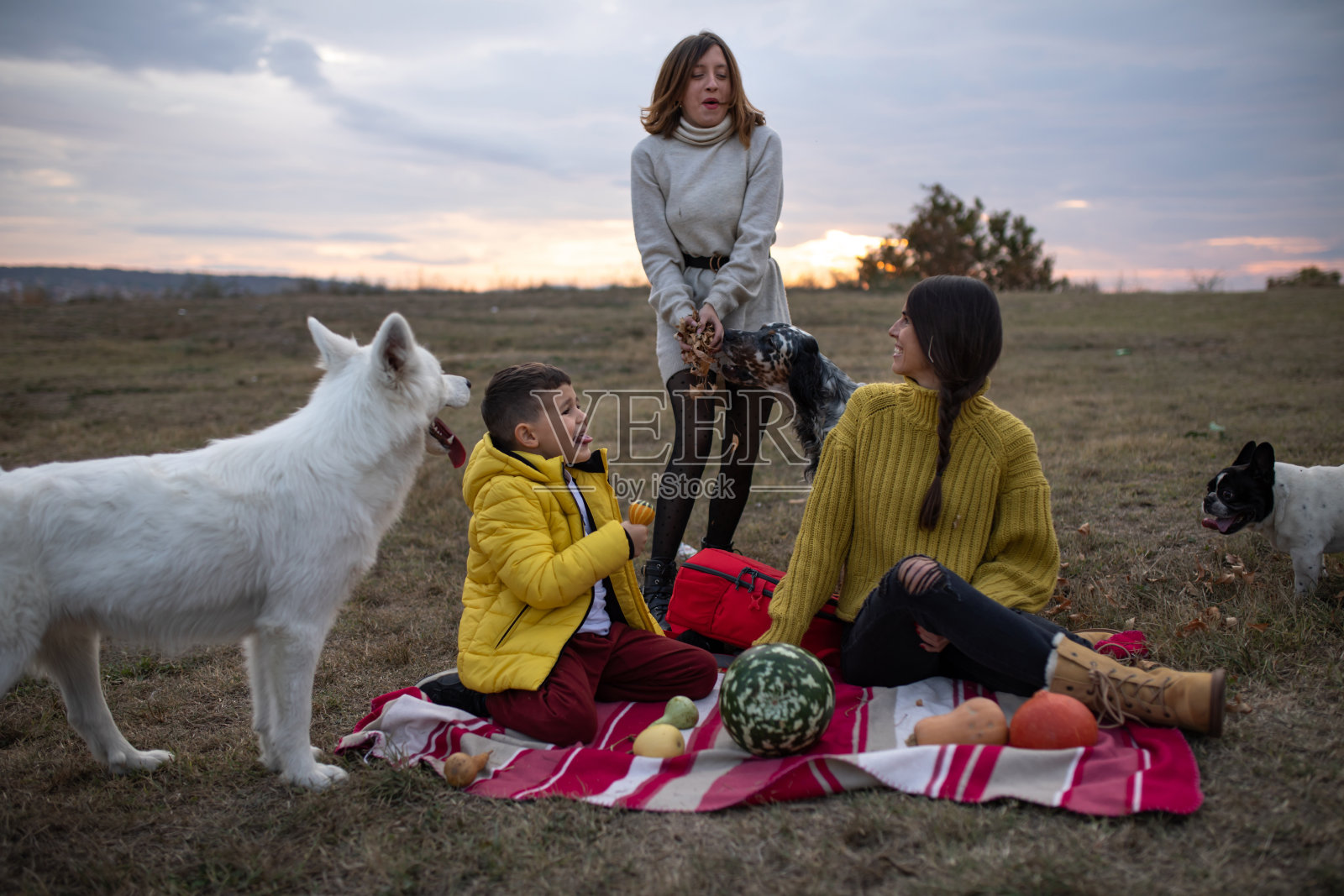 秋趣股票照片照片摄影图片