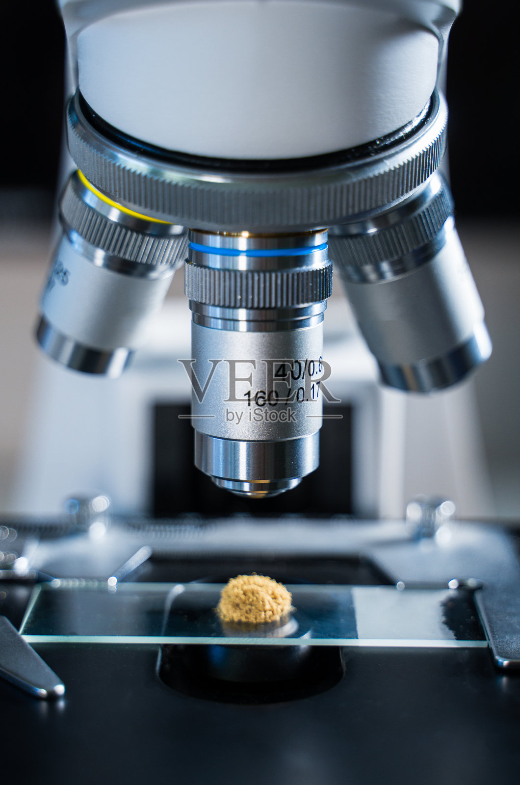 实验室显微镜与霉菌(曲霉菌)样品的特写镜头。照片摄影图片