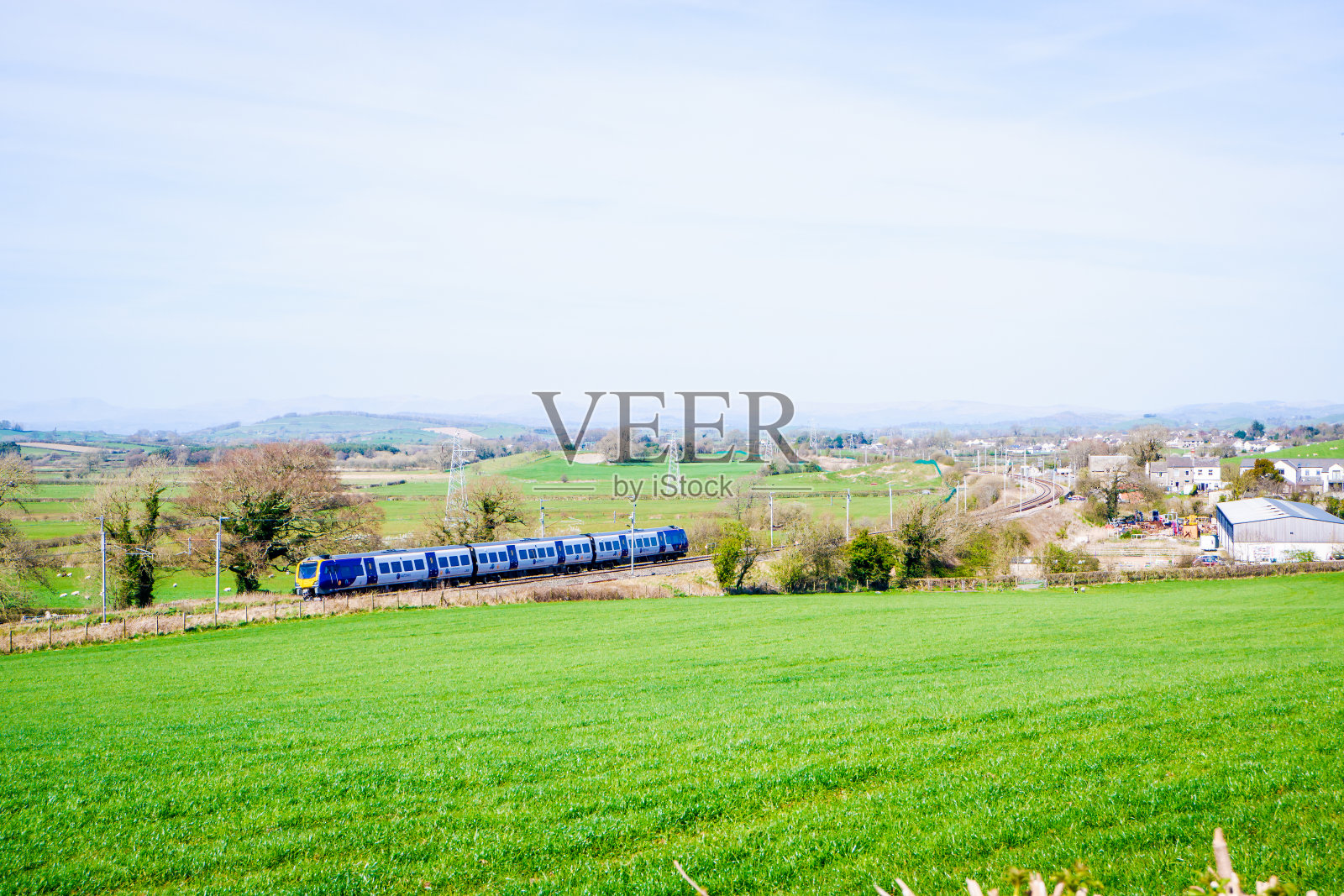 春日的田野上有树篱，有树木，还有美丽的蓝天照片摄影图片