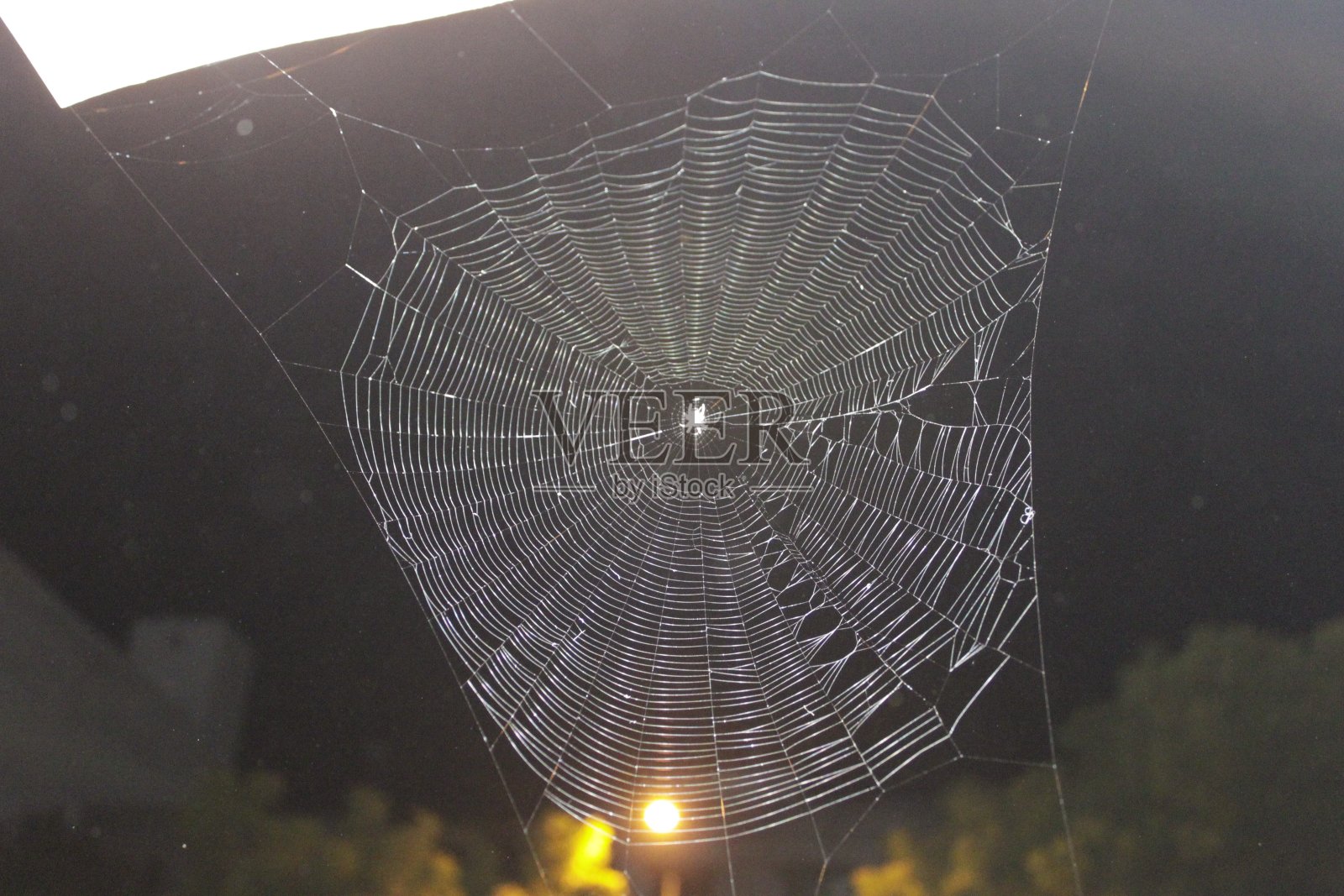 蜘蛛网照片摄影图片