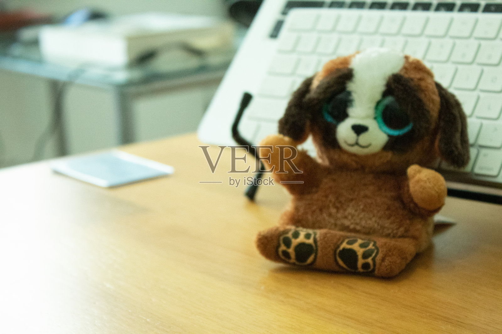 办公室里的泰迪熊照片摄影图片