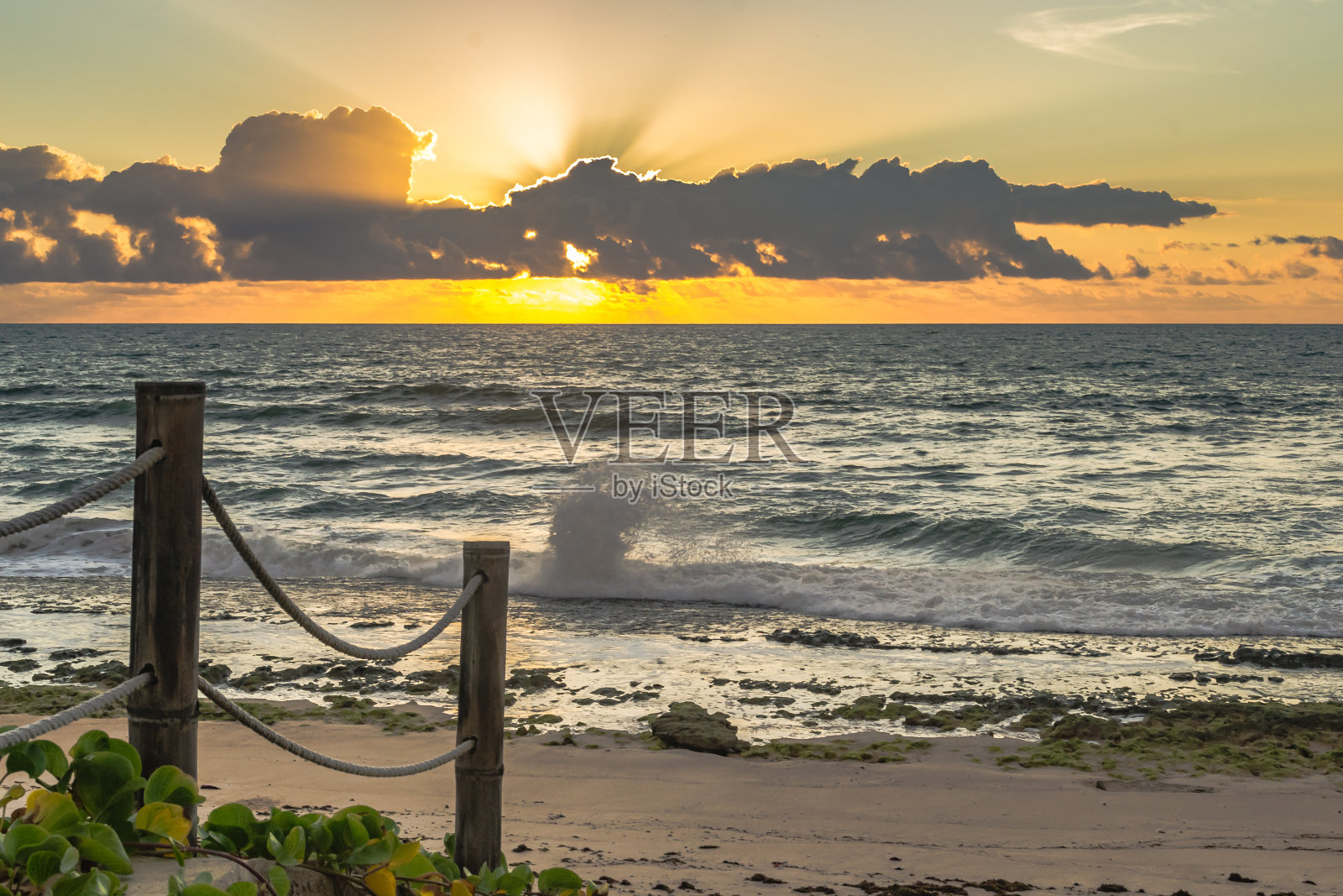 巴西海滩-阿拉格斯州的Pontal do Coruripe海滩。照片摄影图片