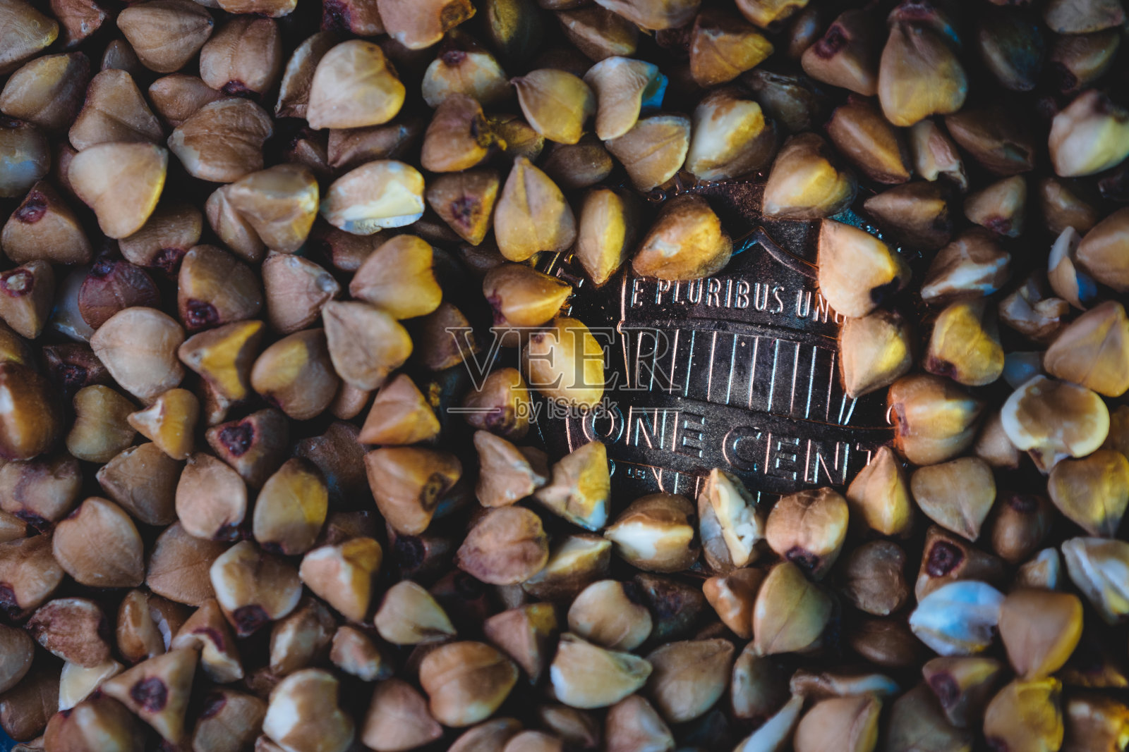 一分荞麦硬币照片摄影图片