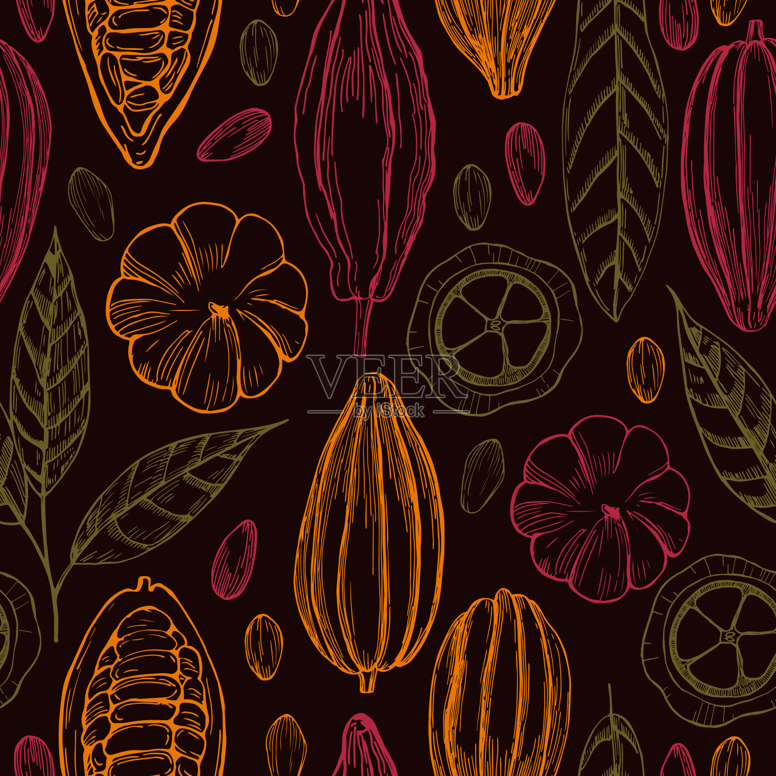 手绘可可豆。矢量模式。插画图片素材