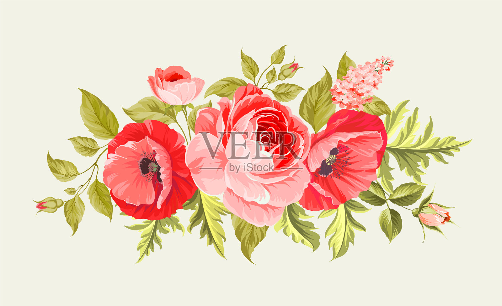 背景与罂粟花插画图片素材