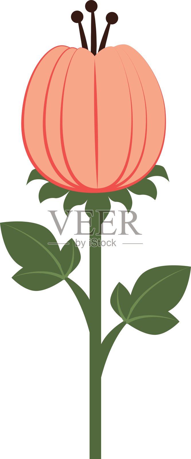 花花缤纷的图标插画图片素材