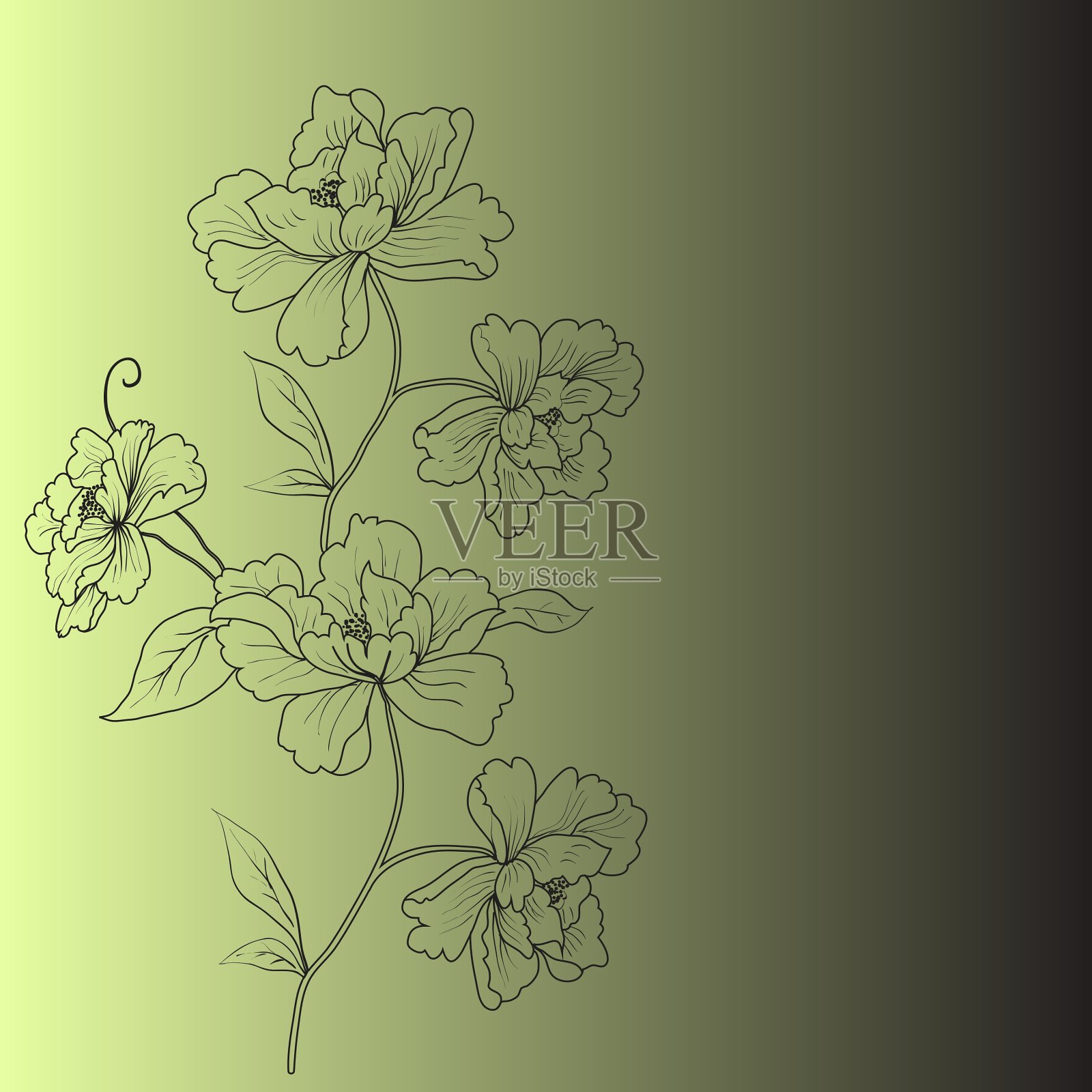 手绘花插画图片素材