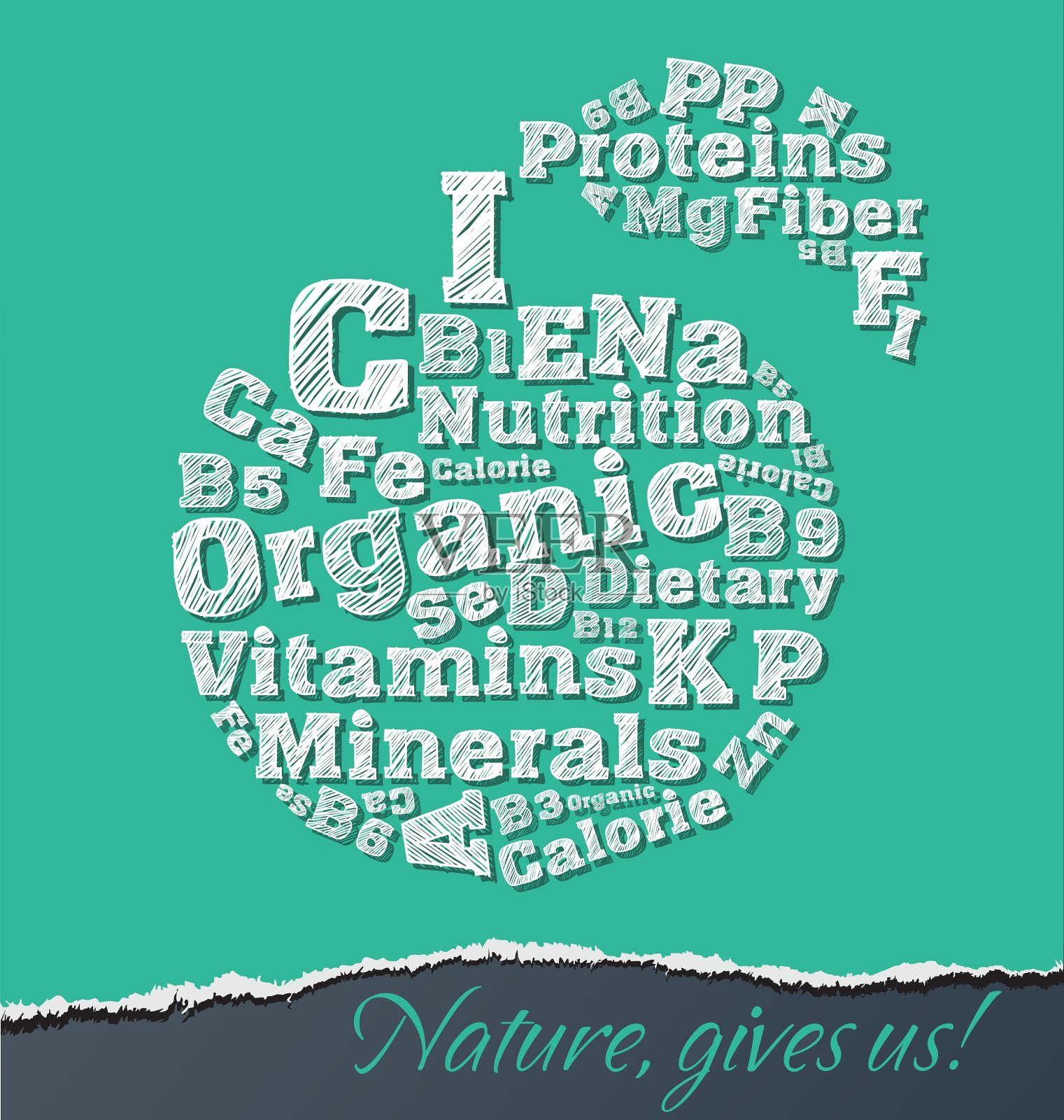 维生素插画图片素材