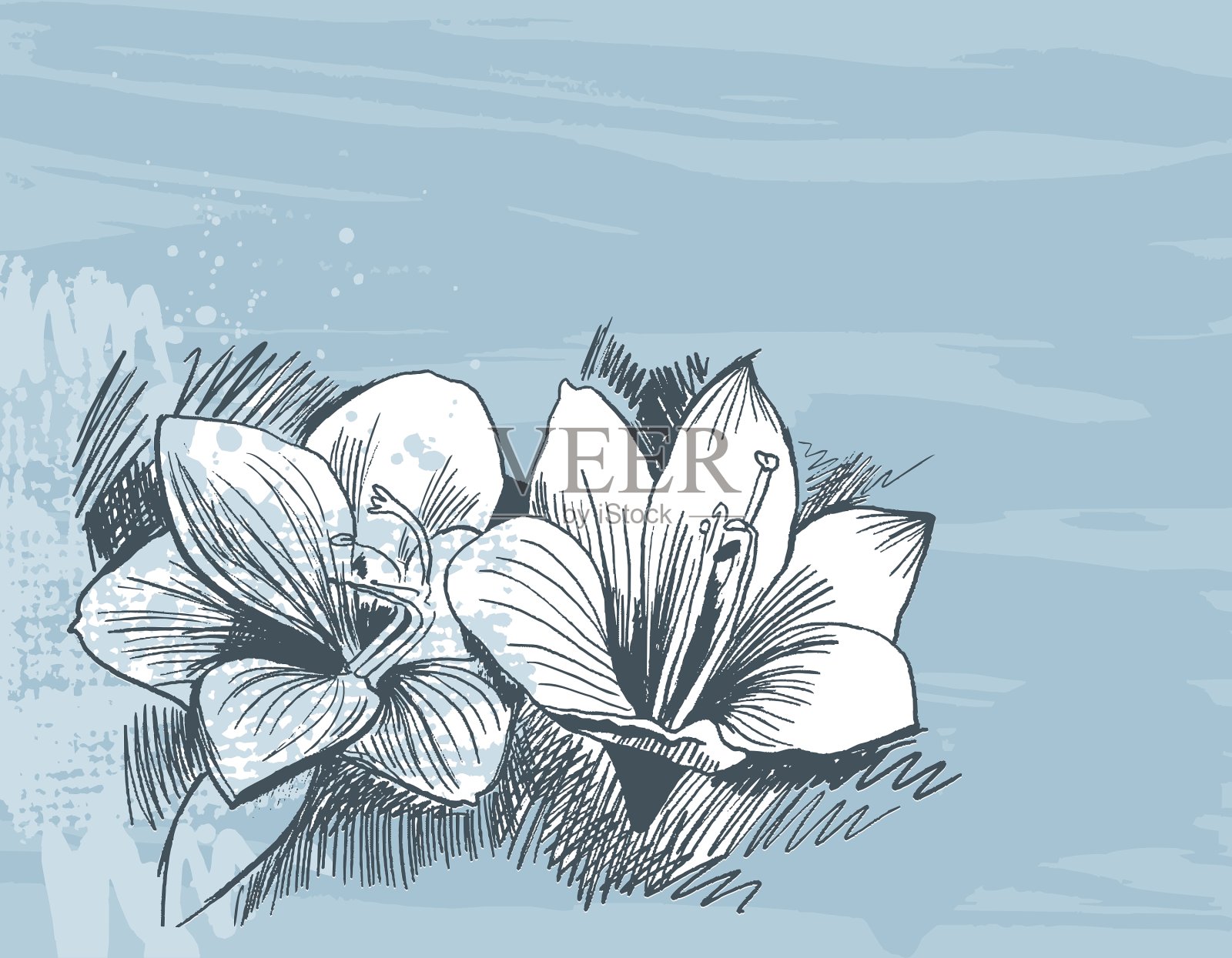 花的背景插画图片素材