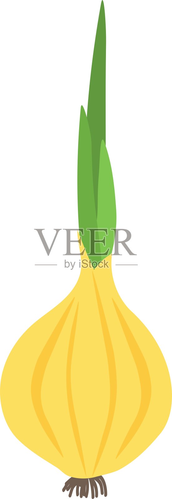 带新鲜绿芽的洋葱设计元素图片