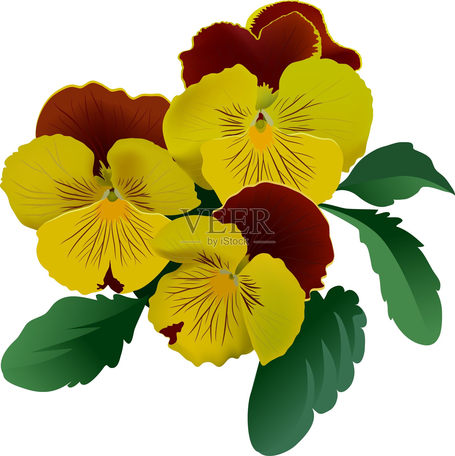三朵带叶的黄色三色堇花设计元素图片