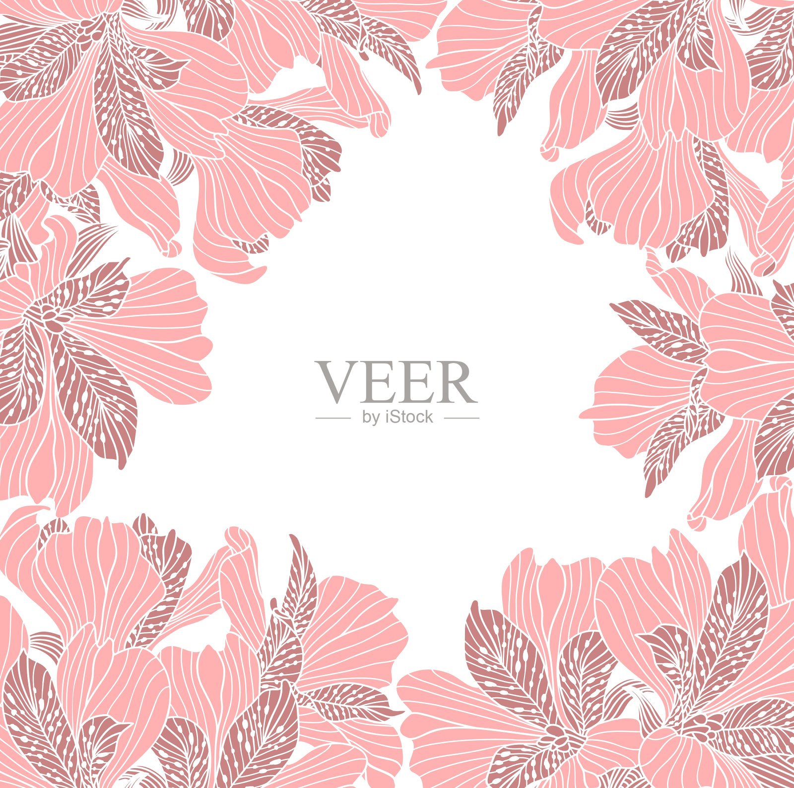 Alstroemeria花框架插画图片素材