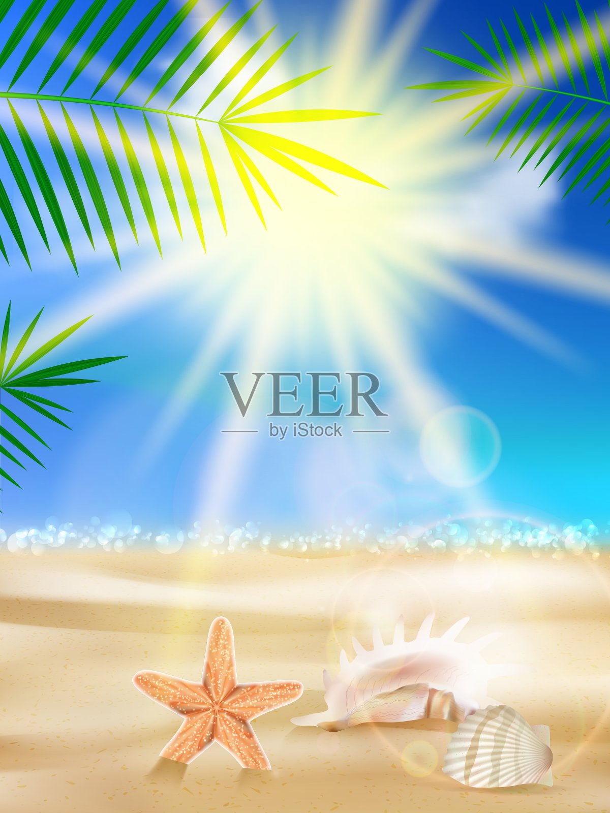 白天有沙贝壳和棕榈叶插画图片素材