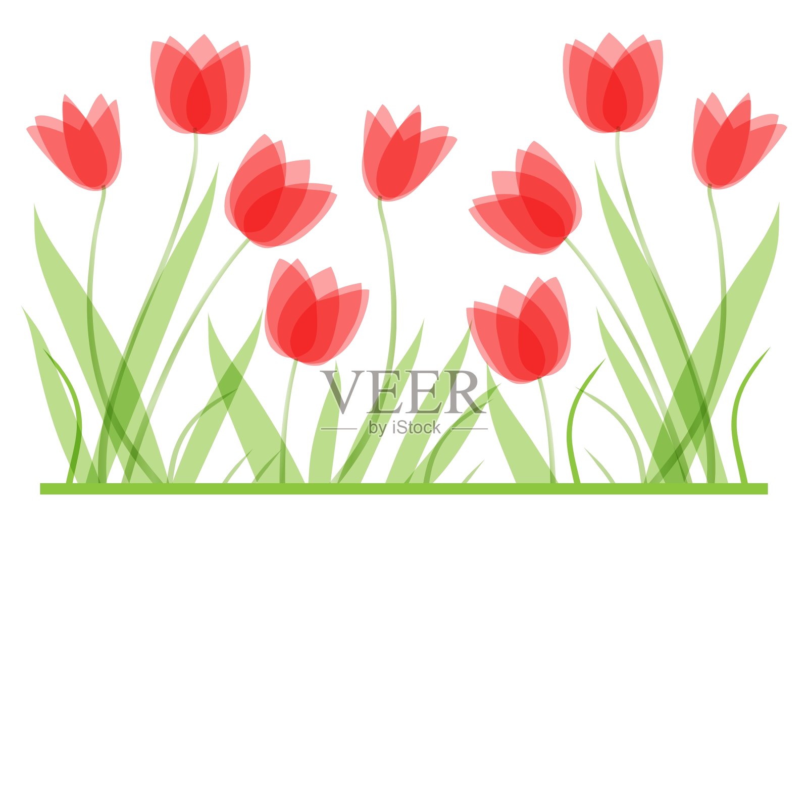 装饰背景与郁金香花设计元素图片