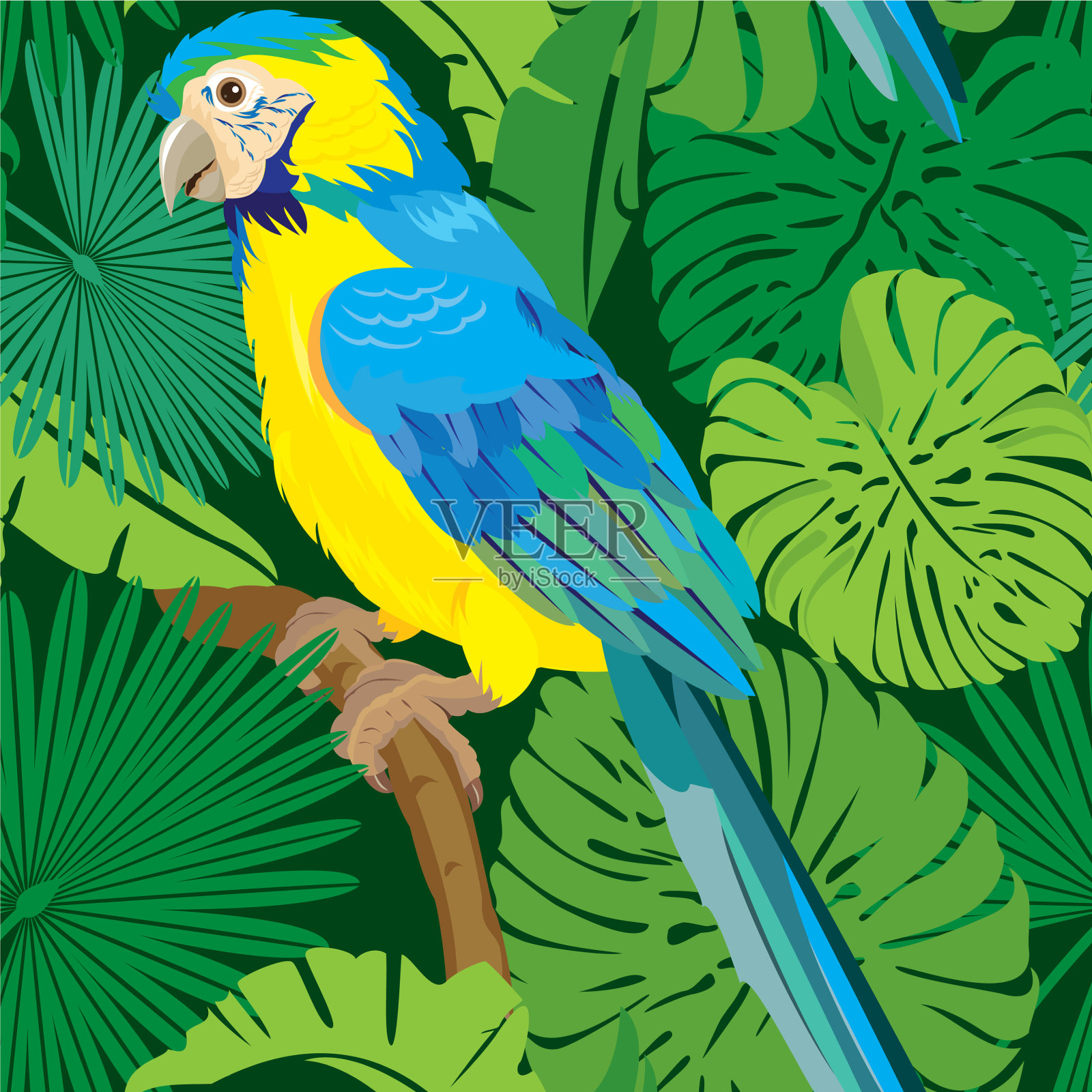 无缝图案与蓝黄金刚鹦鹉插画图片素材