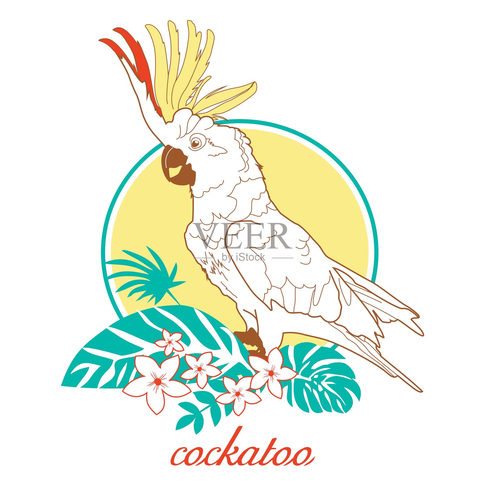 凤头鹦鹉插画图片素材