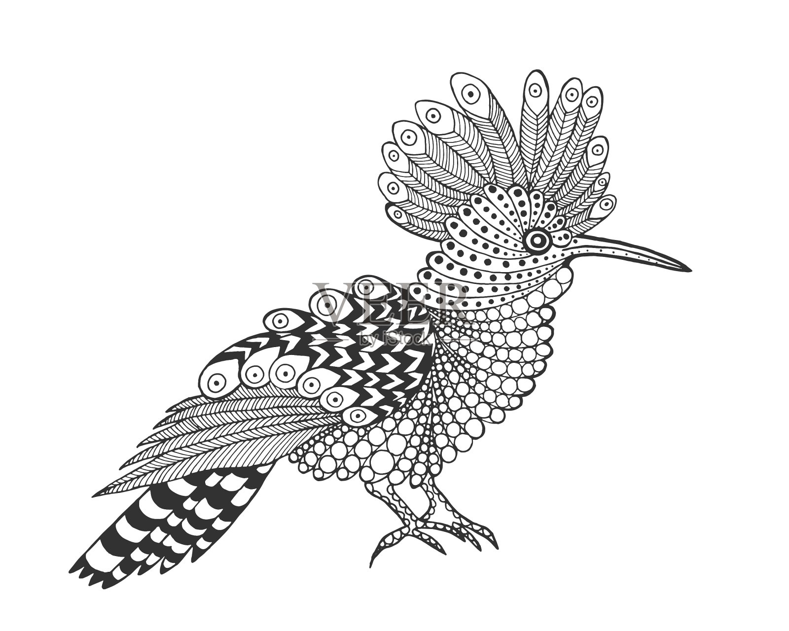 Zentangle程式化的鸟设计元素图片