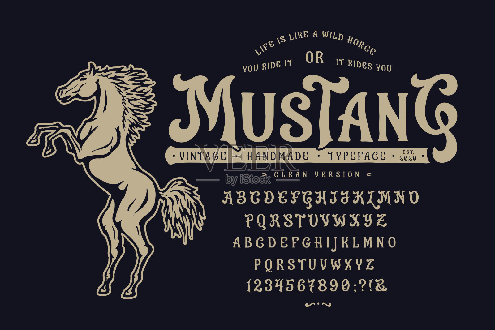 字体野马。老式字体设计插画图片素材