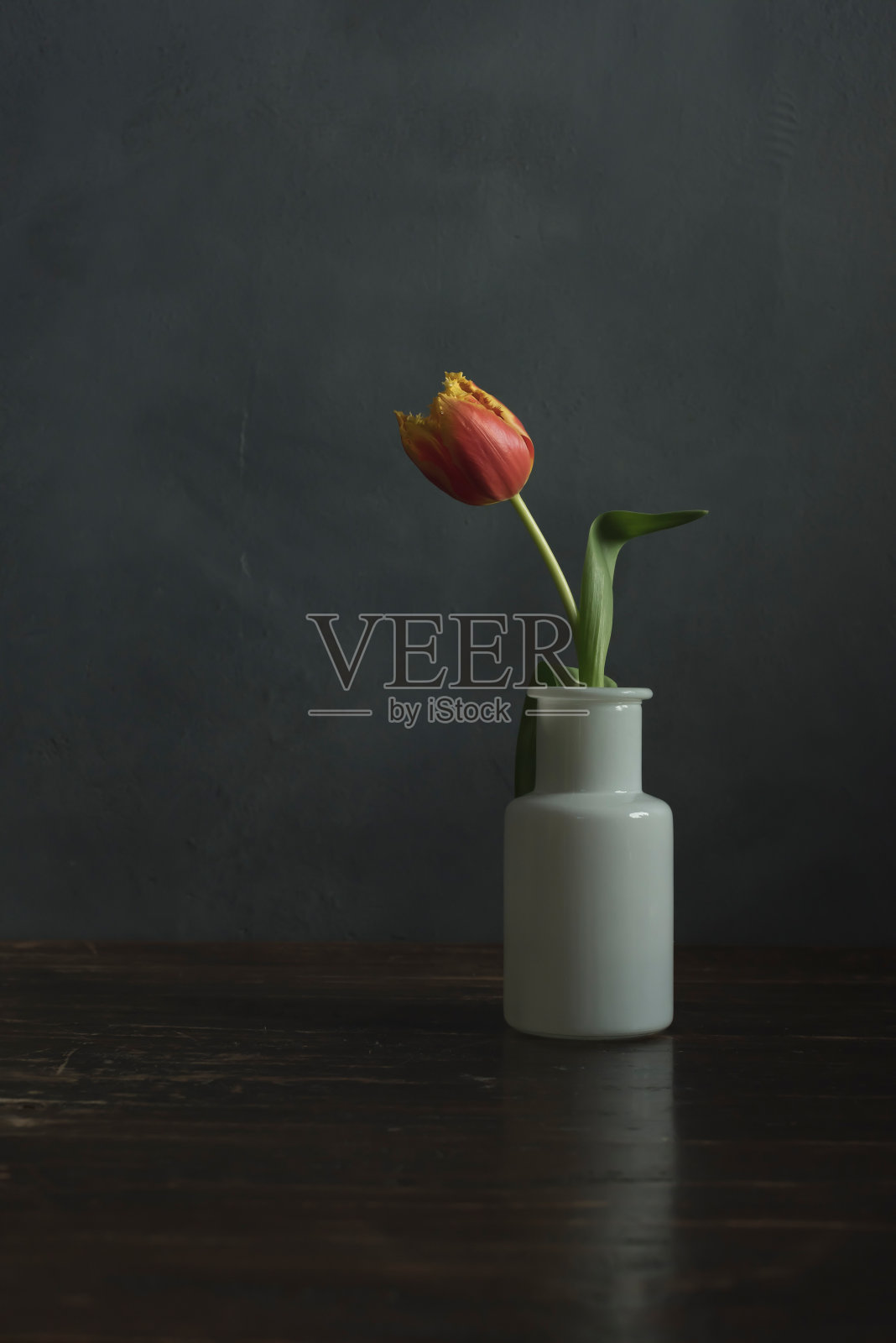 木桌上白色玻璃花瓶里插着红黄火焰郁金香。照片摄影图片