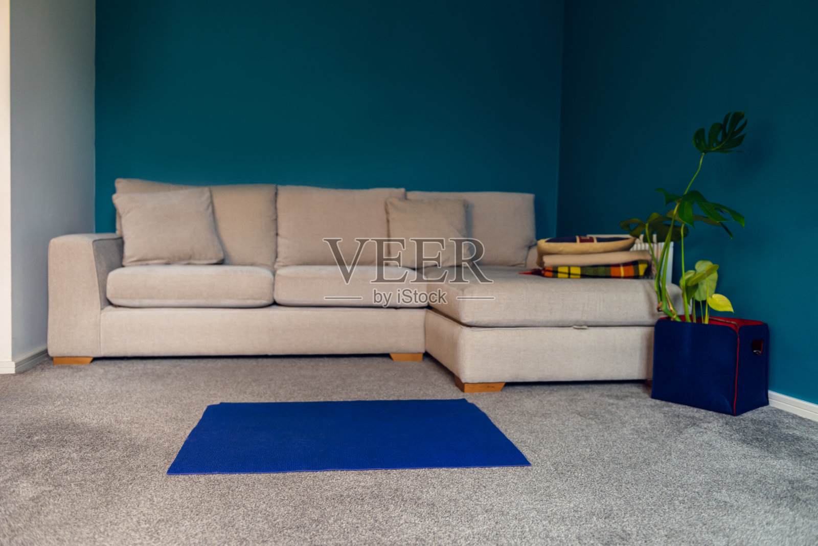 在线瑜伽的准备工作照片摄影图片