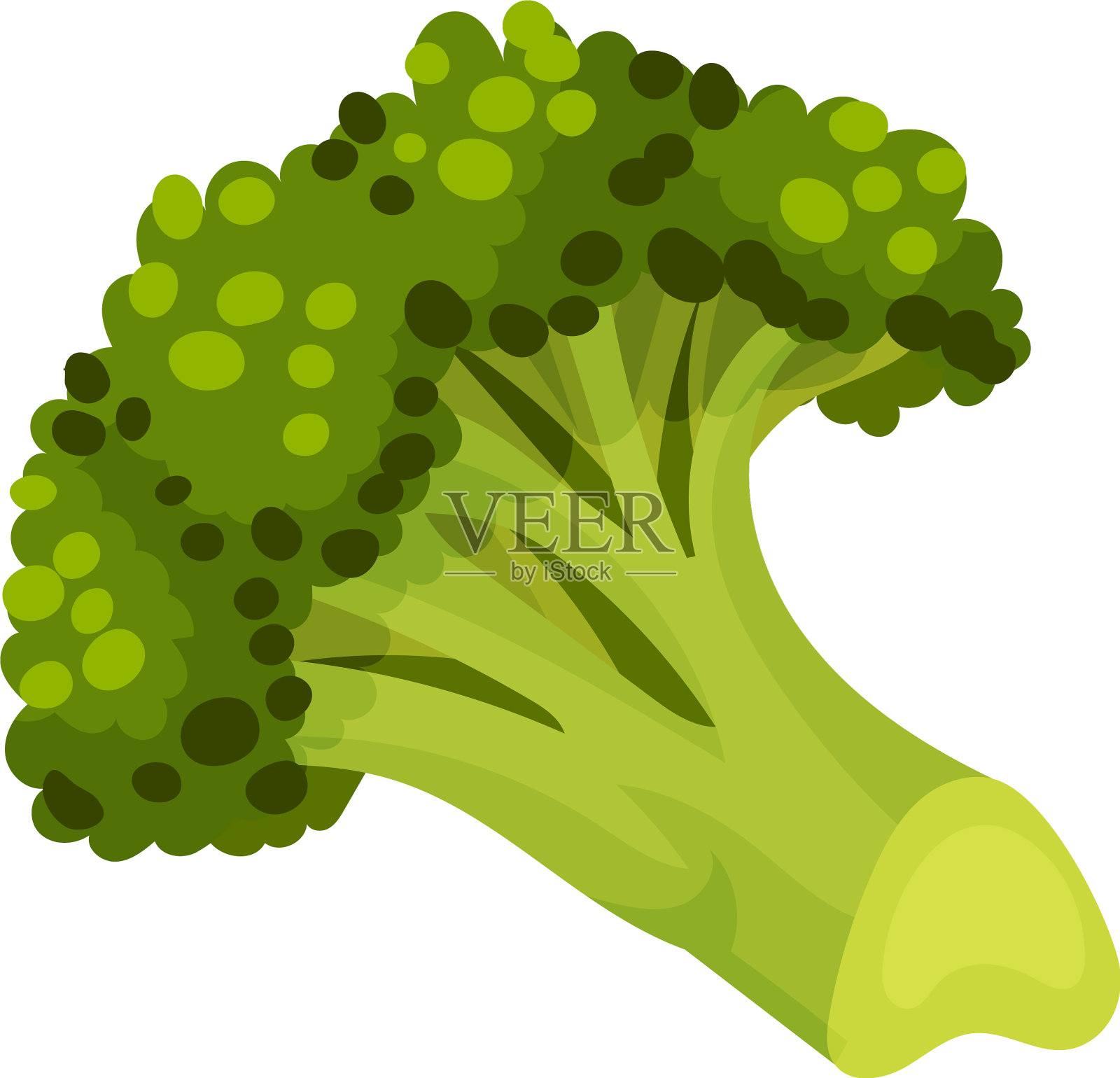 白色背景上孤立的西兰花蔬菜插画图片素材