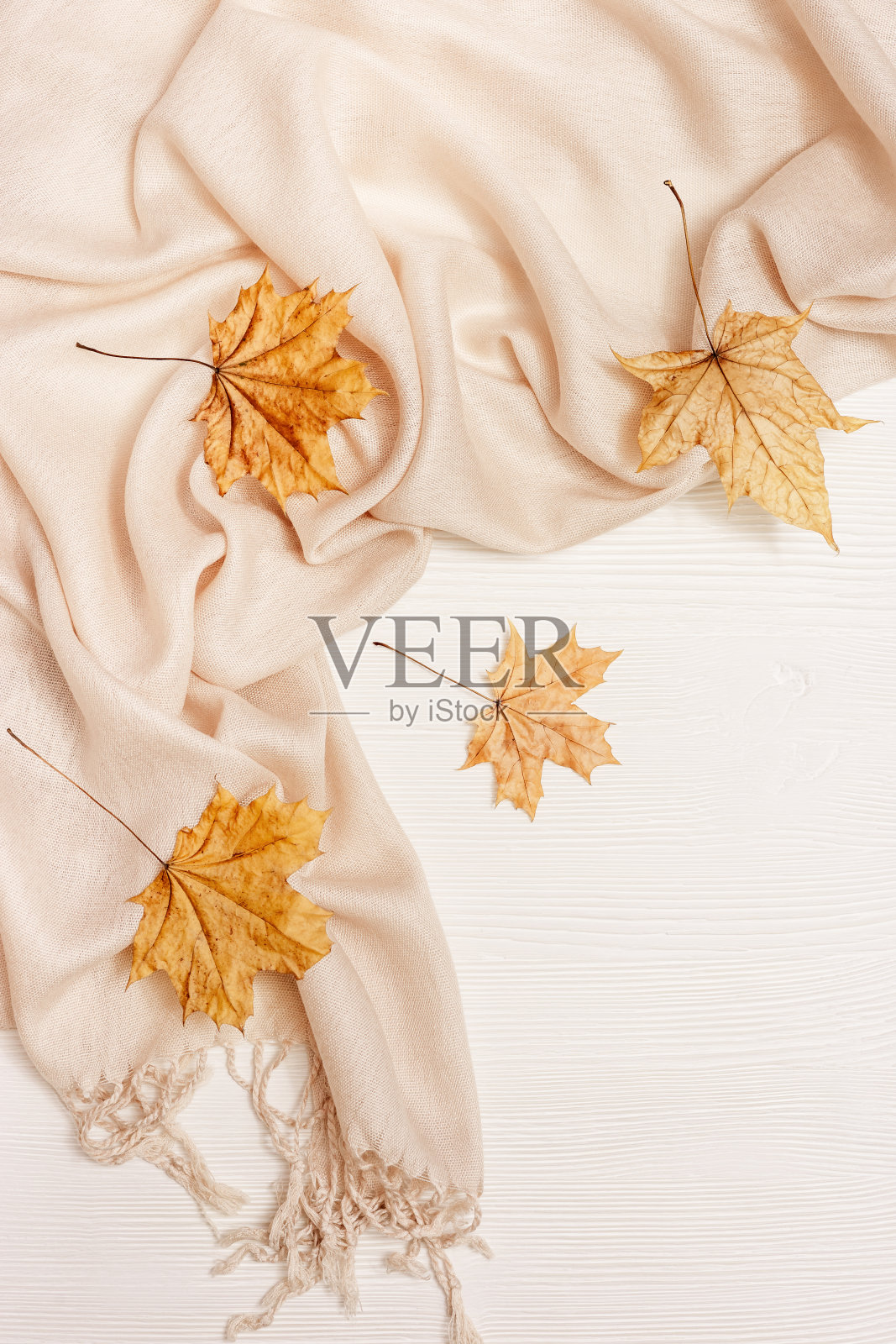 秋天舒适的组成与干枫树叶和柔和的米色围巾在白色木制背景。秋天,秋天的概念。平铺，俯视图，拷贝空间。照片摄影图片