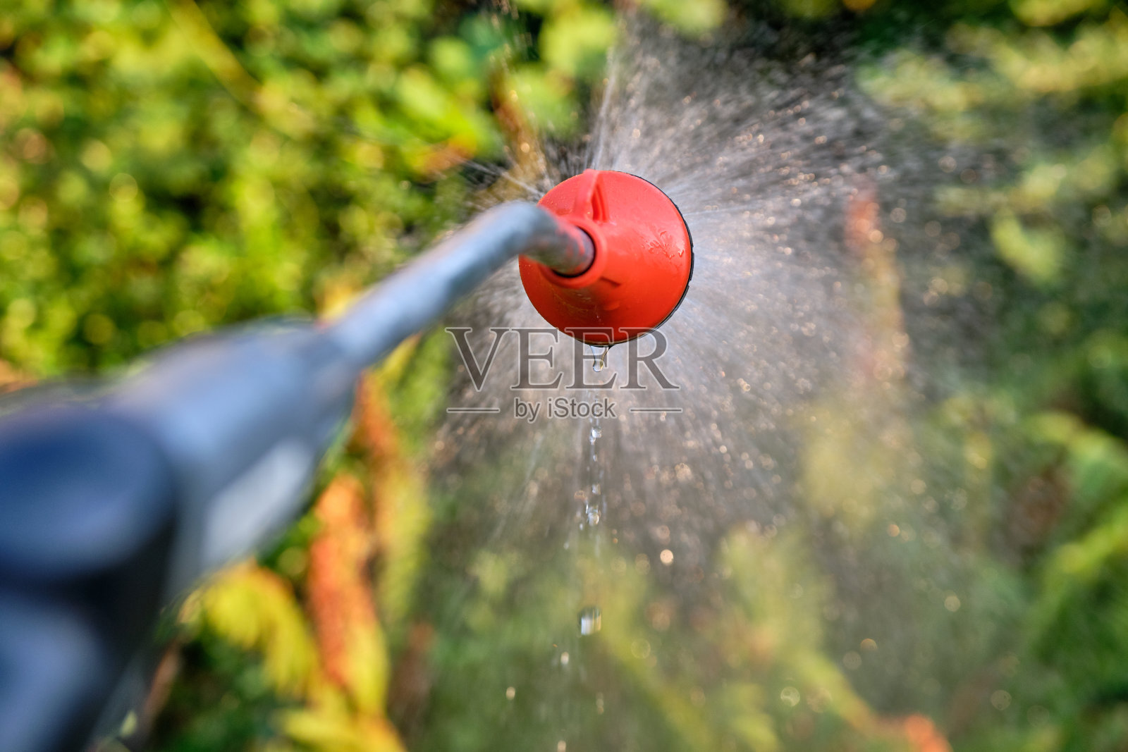 用花园淋浴浇灌花园的特写照片摄影图片