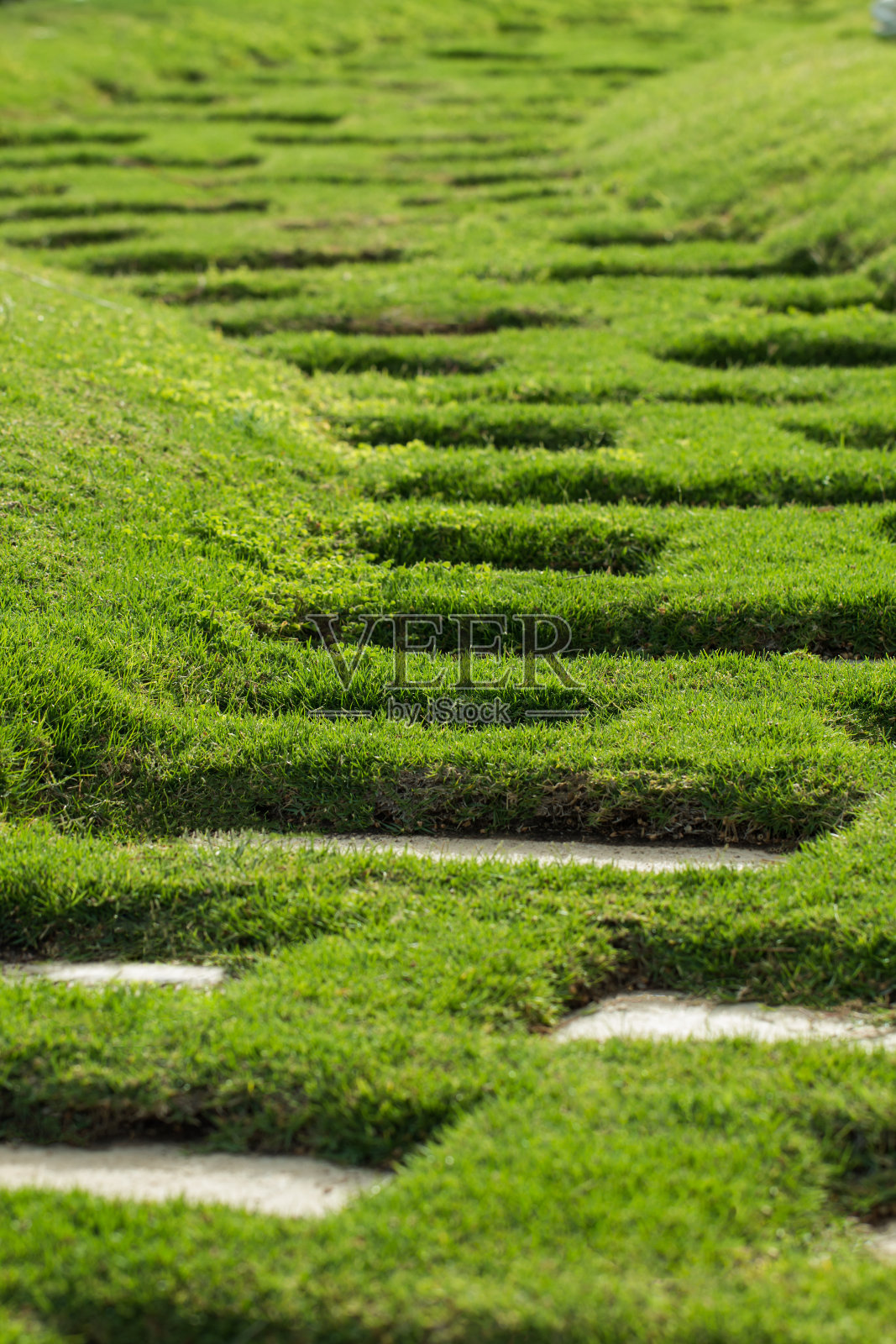 绿草坪小径景观照片摄影图片