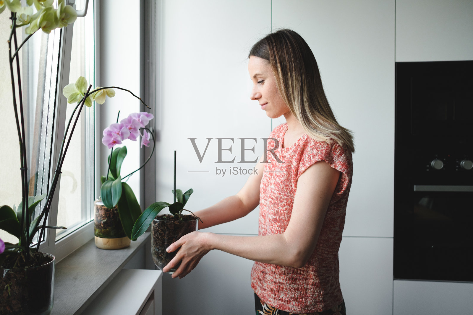 在房子里插花的女人照片摄影图片