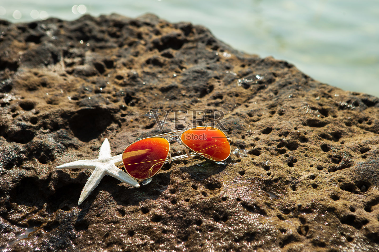 海星和太阳镜照片摄影图片