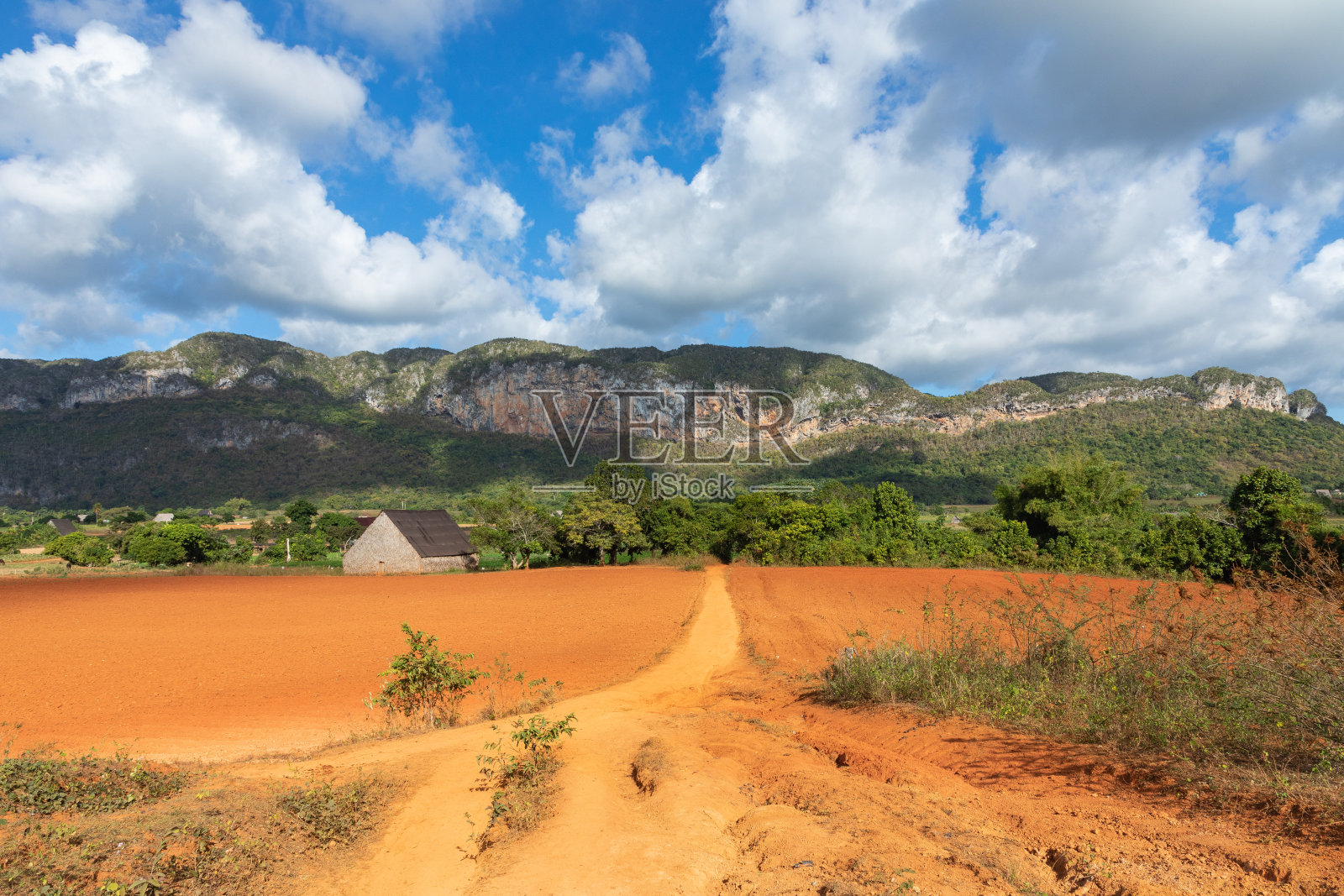 维纳莱斯谷(Valle de Vinales)，著名的旅游目的地。烟草种植园。古巴比那尔del里约热内卢。照片摄影图片