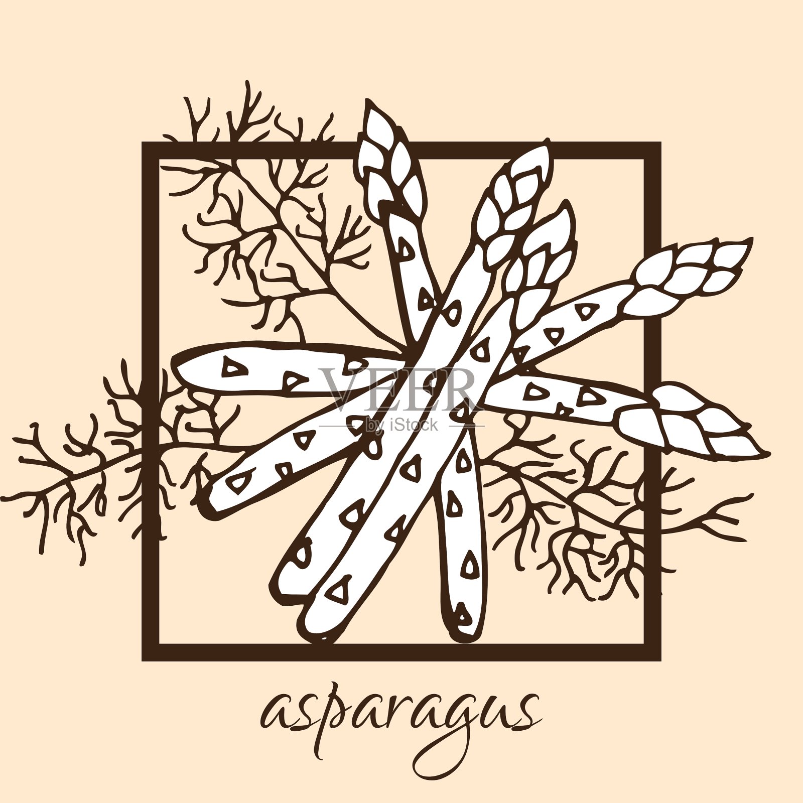 手绘芦笋插画图片素材