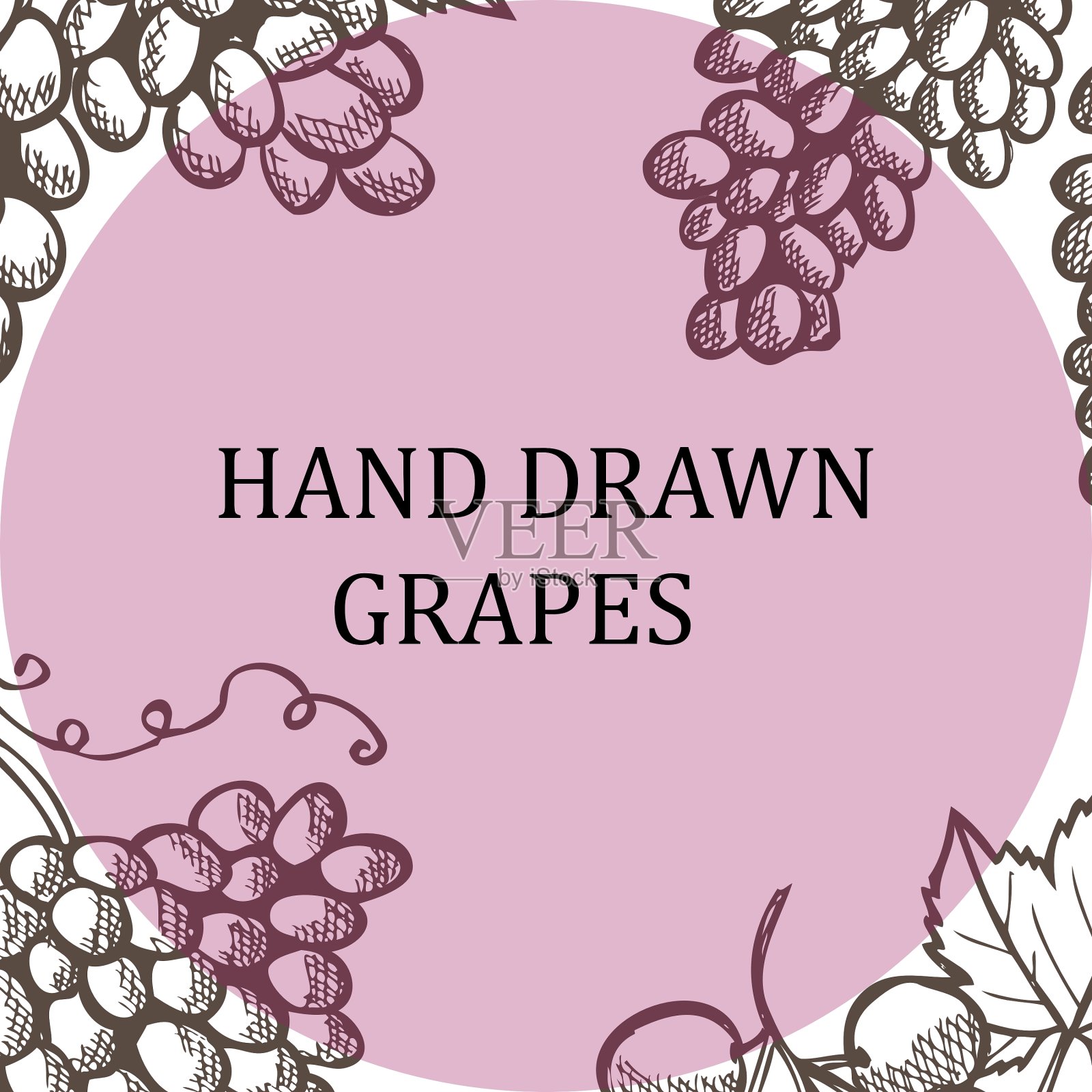 手绘葡萄插画图片素材