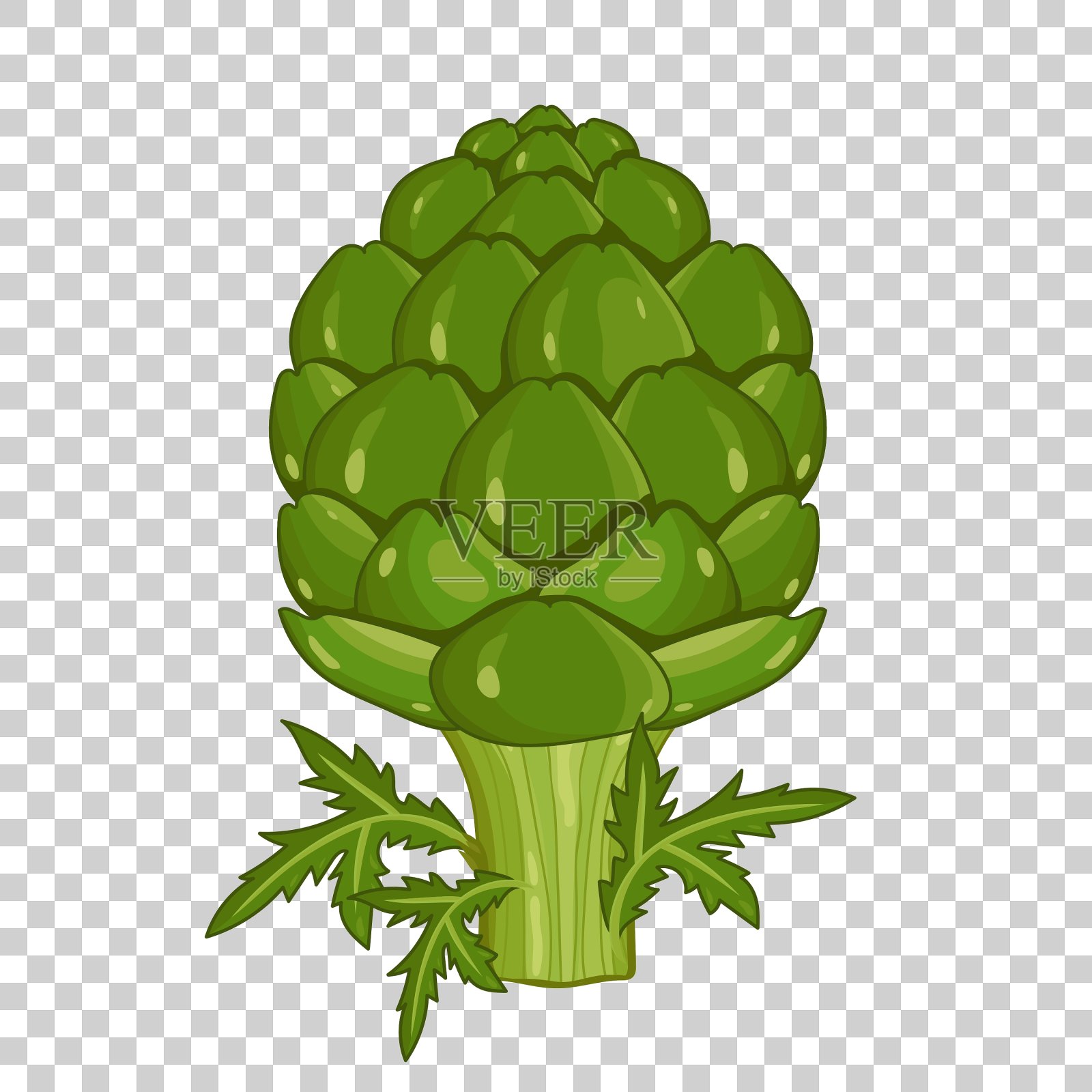 洋蓟分离有机食品农用食品插画图片素材