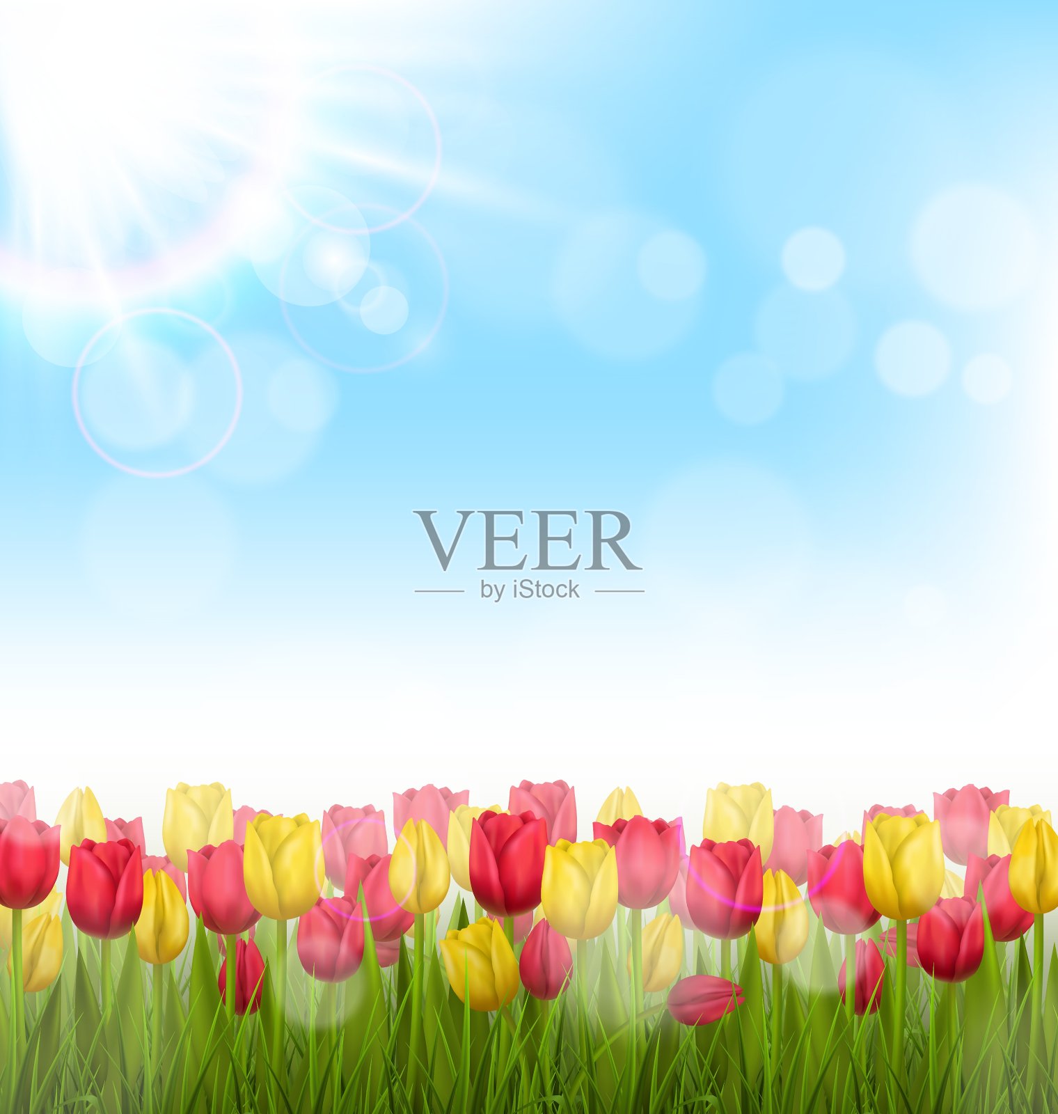 绿色的草坪，郁金香和天空的阳光插画图片素材