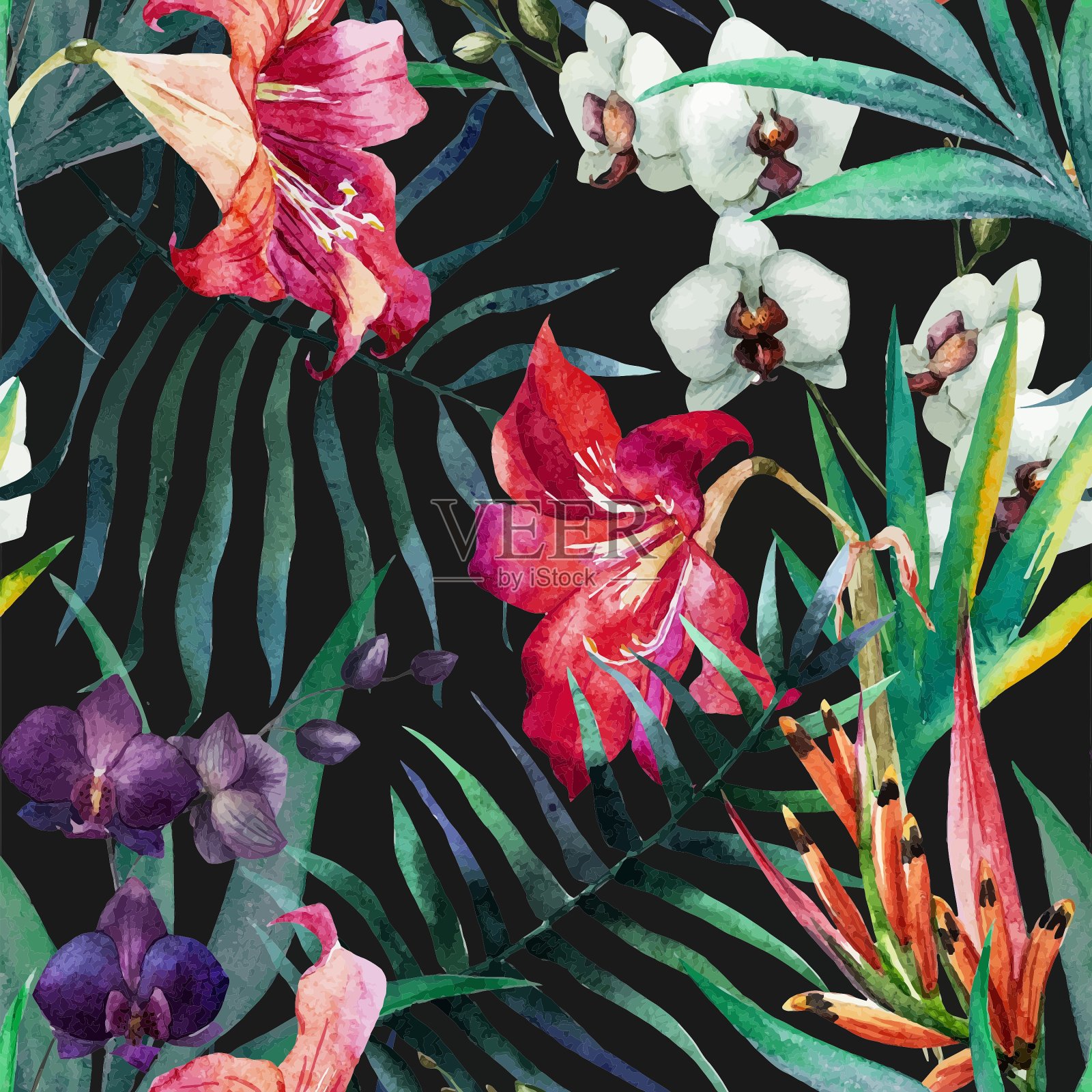 热带模式插画图片素材