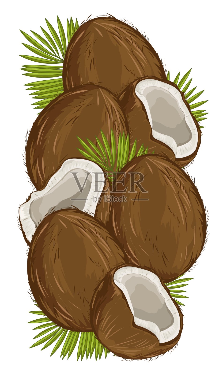 椰子分离坚果成分设计元素图片