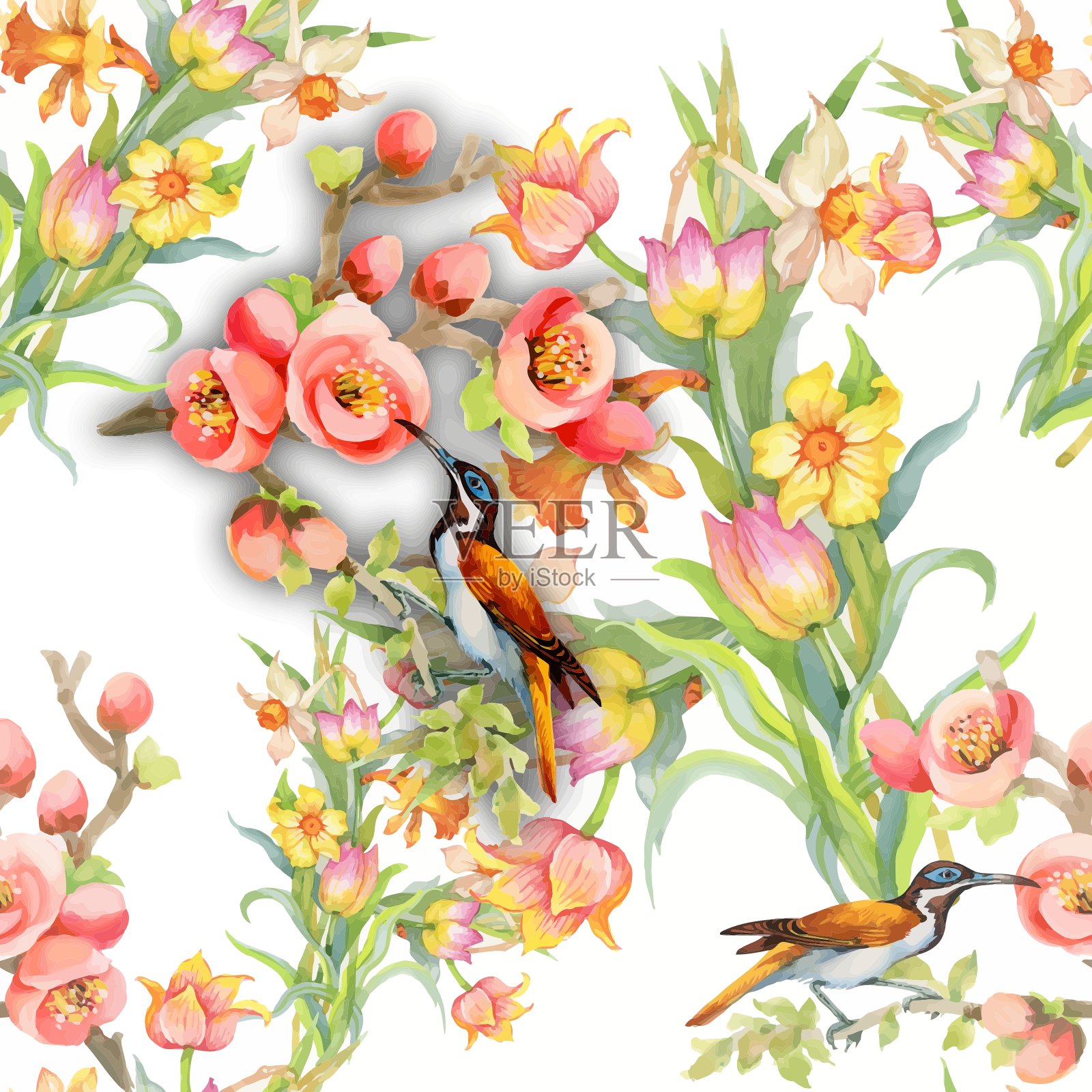 野生珍奇鸟类上花无缝插画图片素材