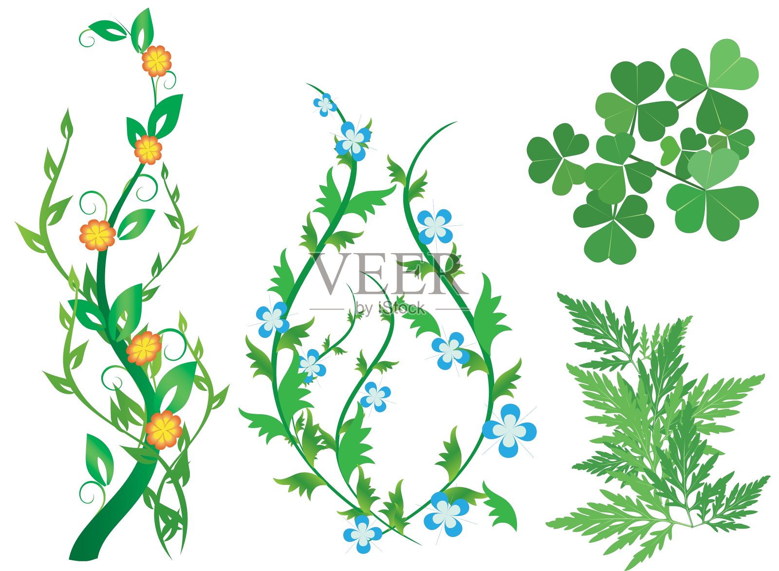 一套绿色装饰植物与花插画图片素材