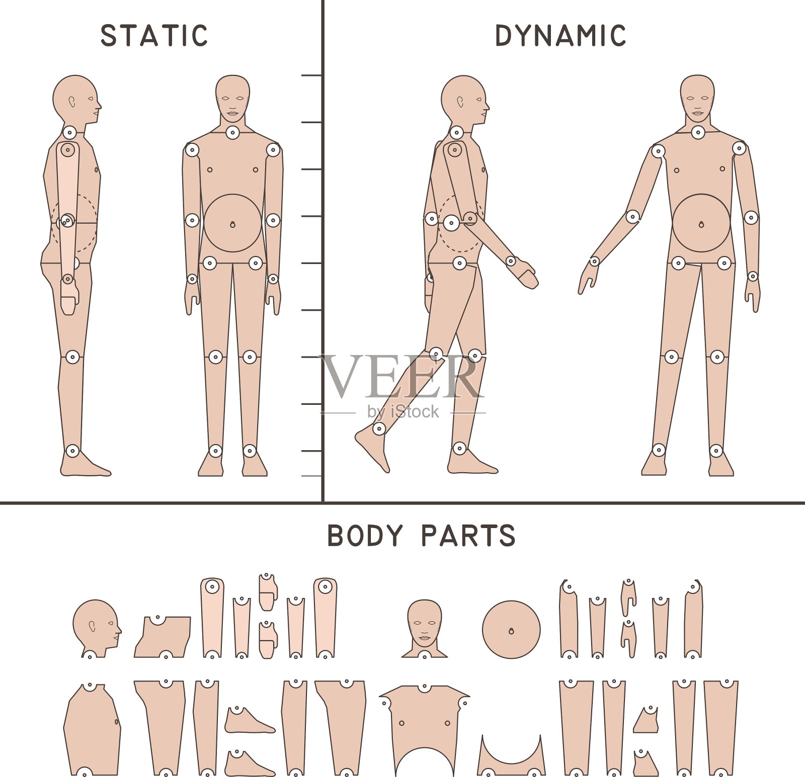数字艺术家的人体模型插画图片素材
