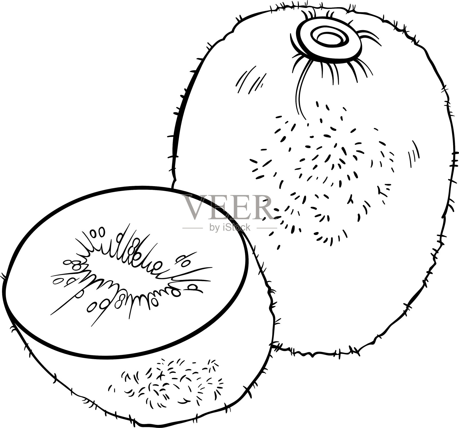 猕猴桃着色书设计元素图片