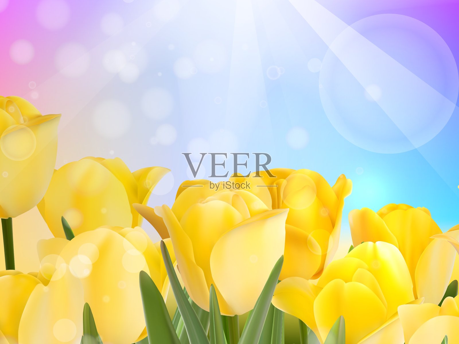 红色郁金香与bokeh EPS 10插画图片素材