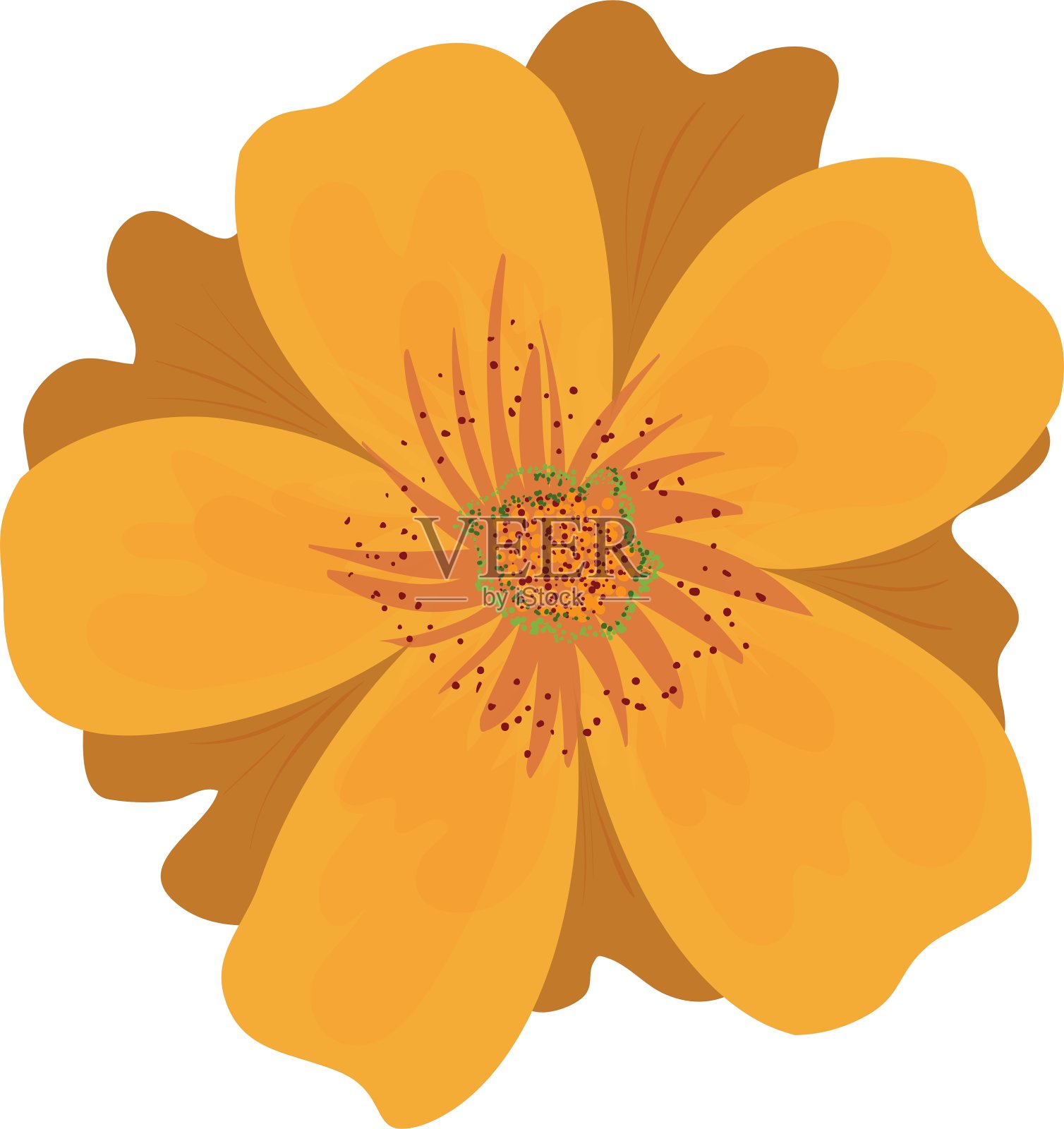 美丽的花朵点缀插画图片素材