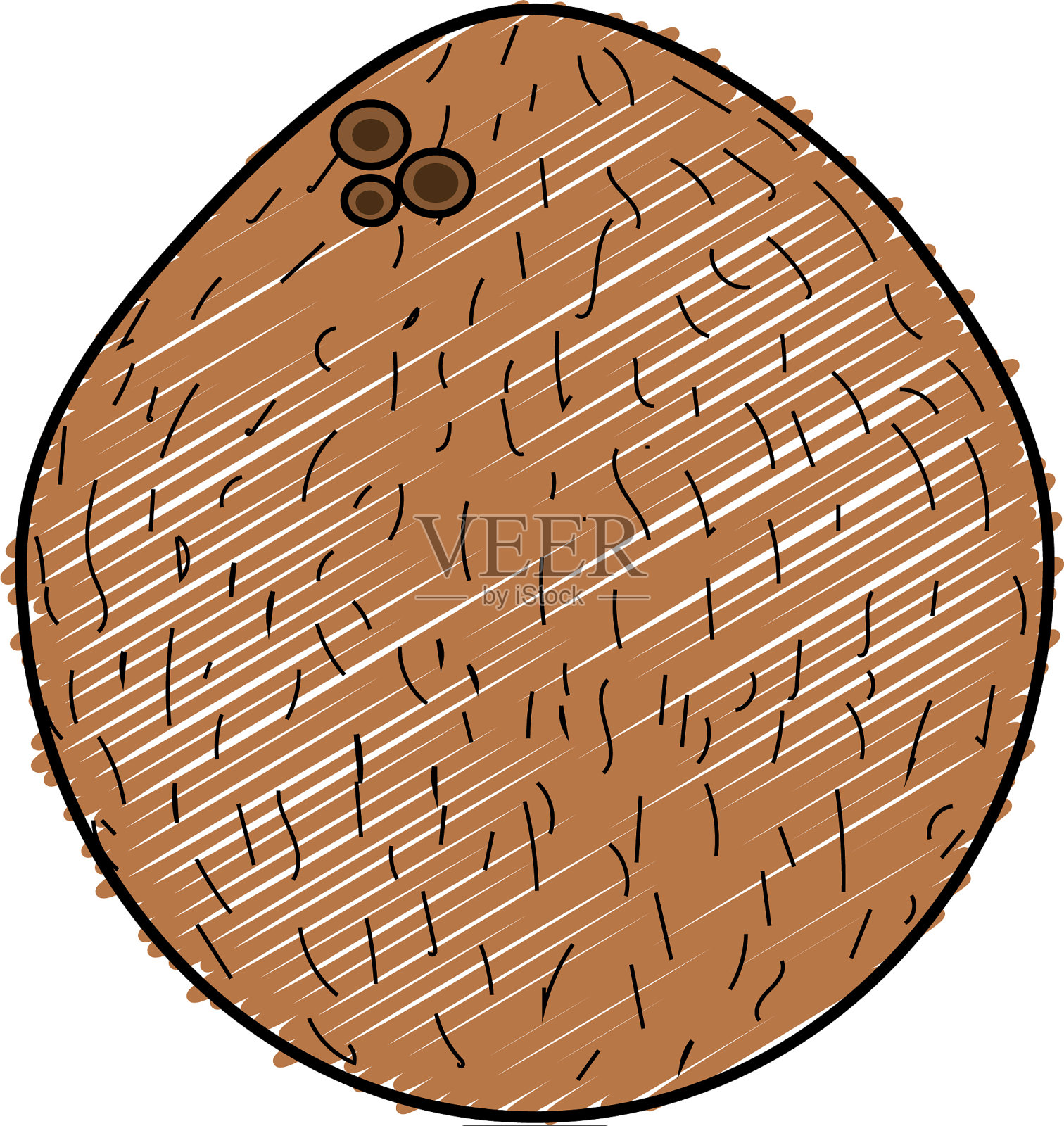 好吃的椰子果插画图片素材