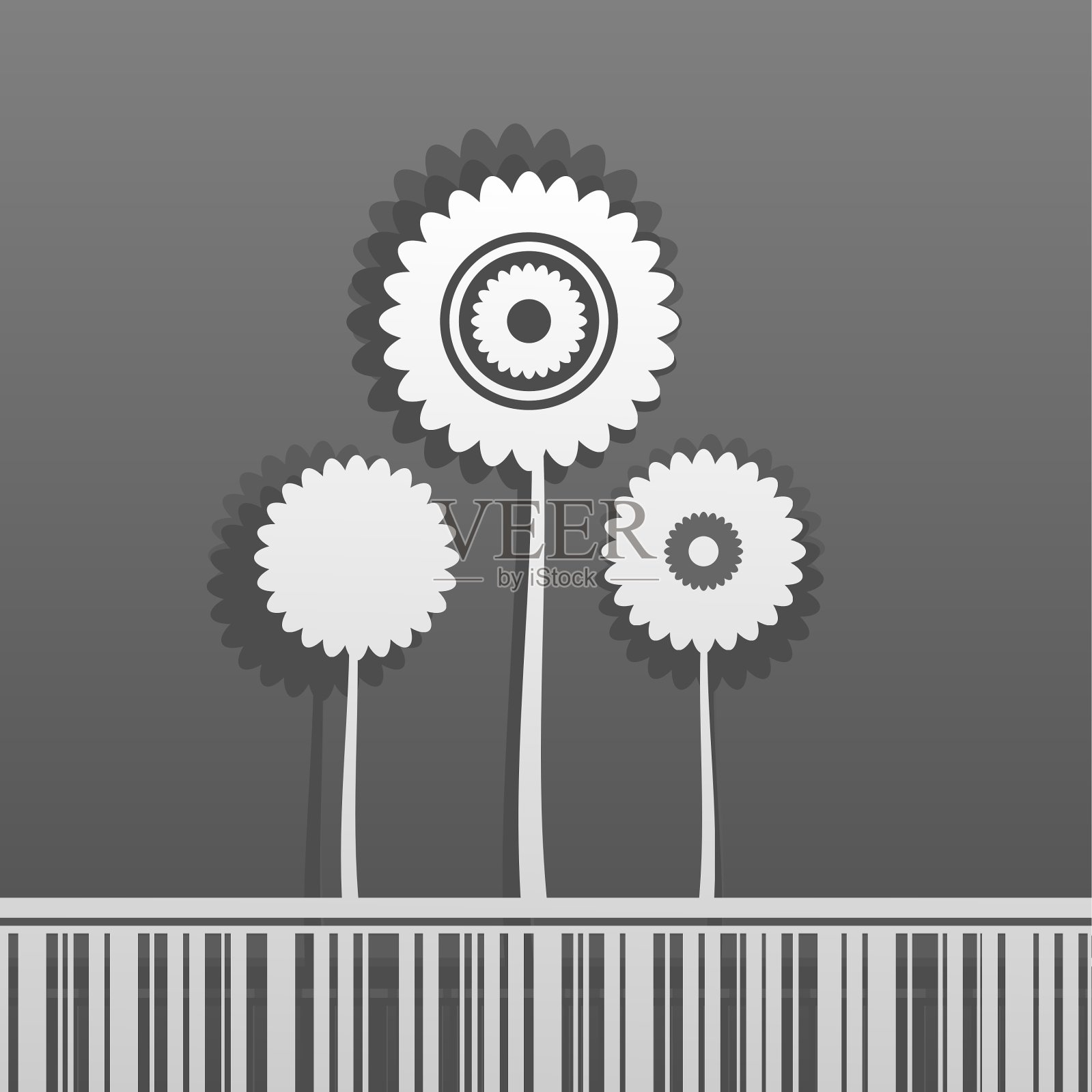 白色的花朵插画图片素材