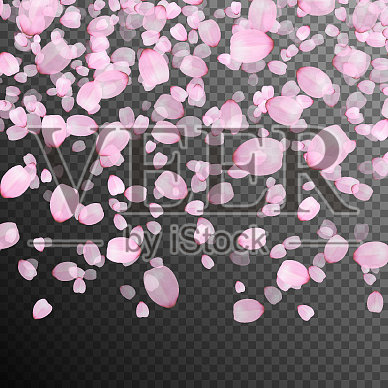 樱花飘落的花瓣插画图片素材