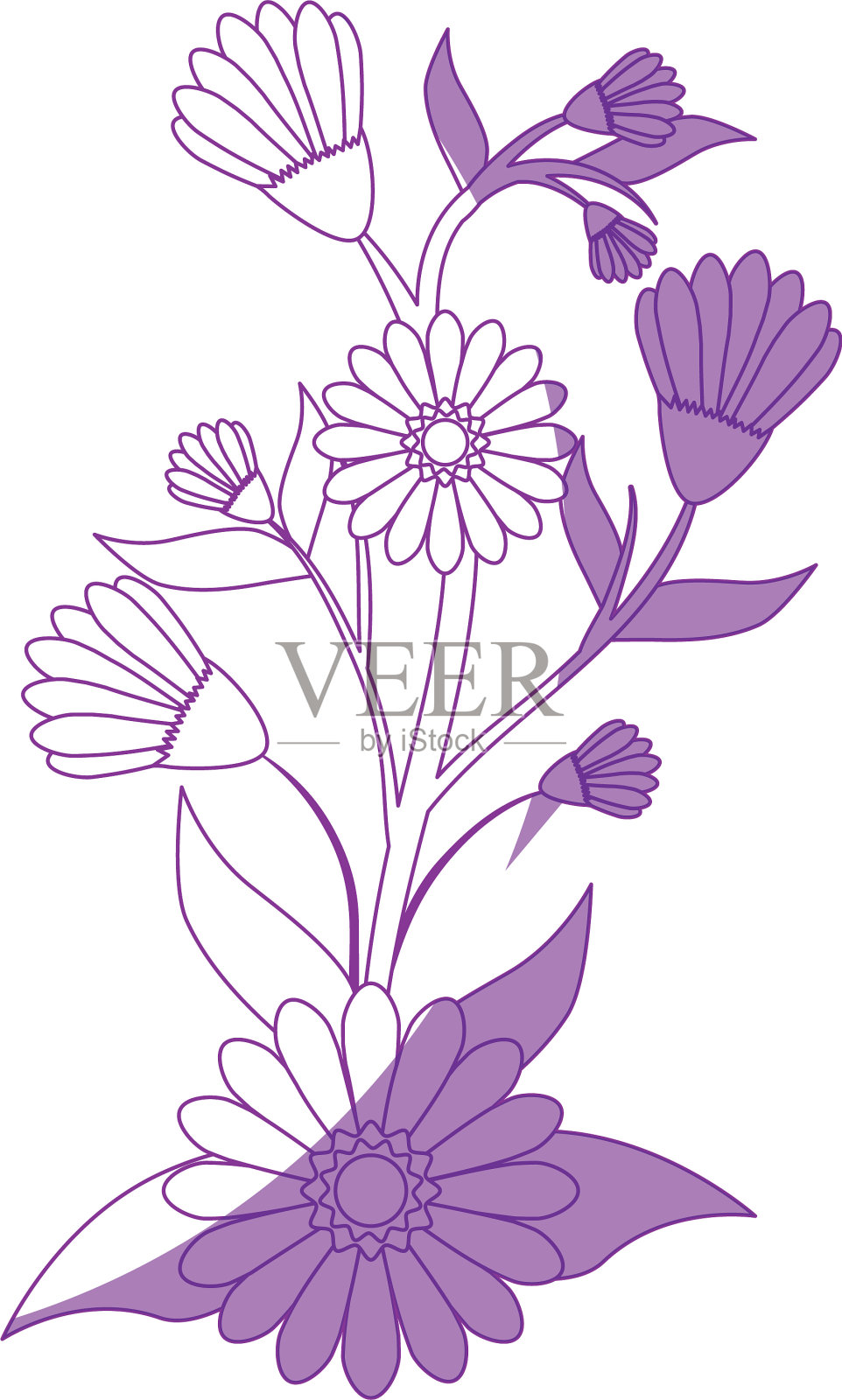 美丽的花朵设计插画图片素材