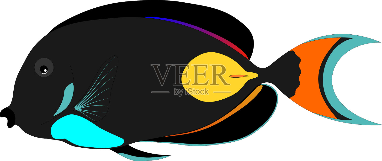 黑蝴蝶鱼设计元素图片